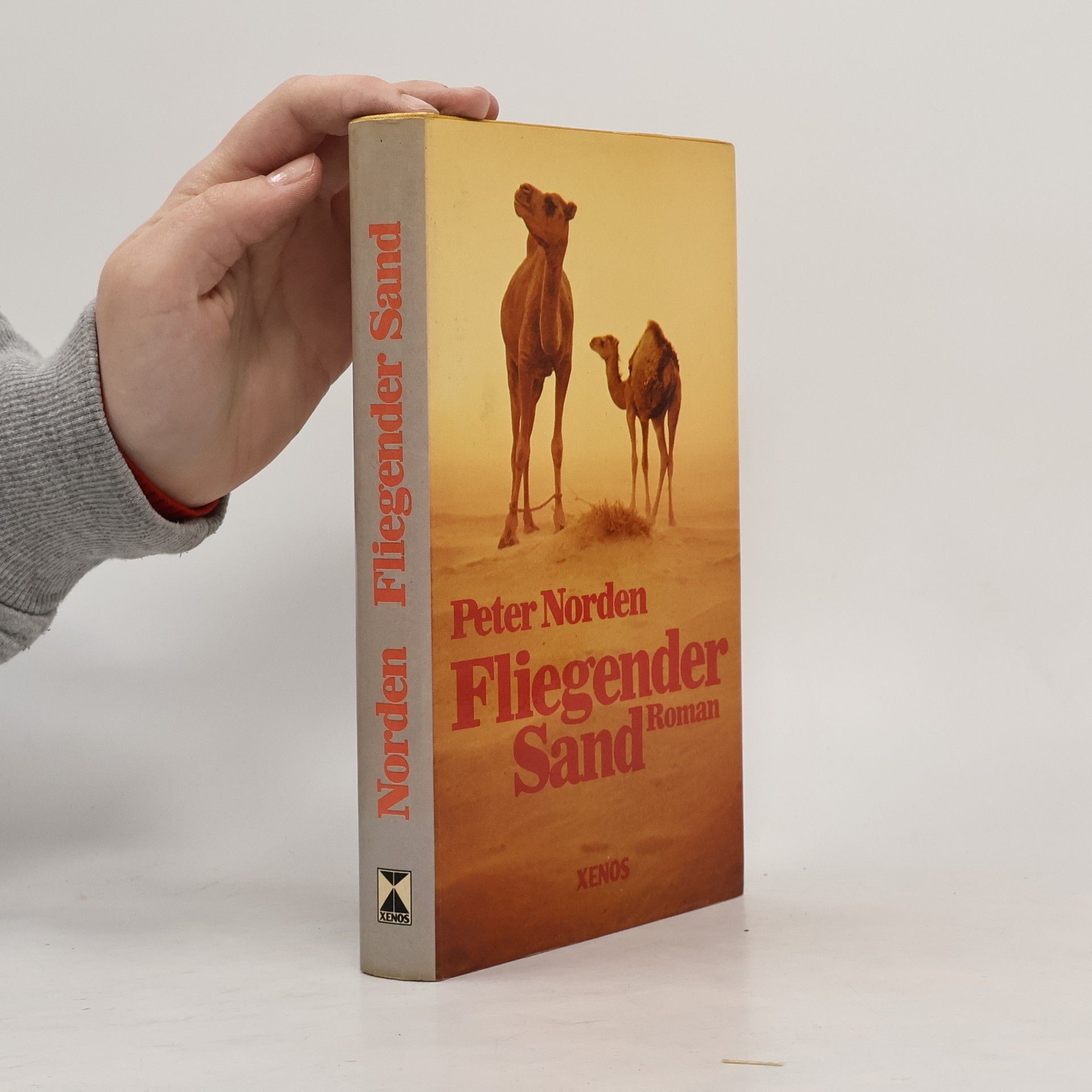 Peter Norden Fliegender Sand