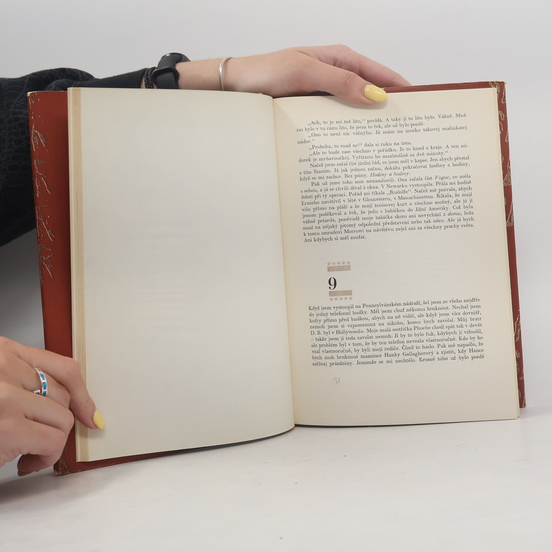 J. D. Salinger Kdo chytá v žitě