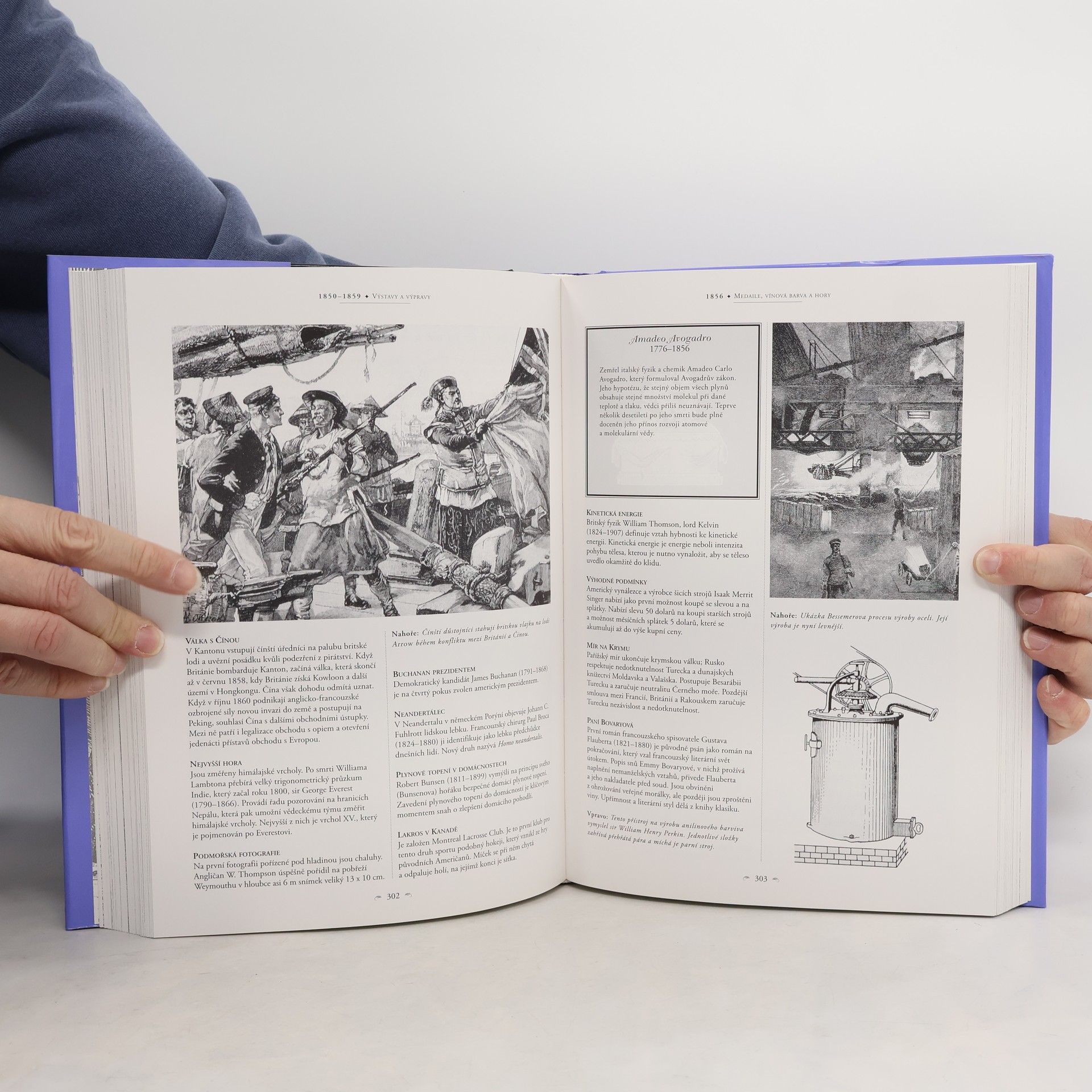 Simon Adams Ilustrovaná historie 19. století