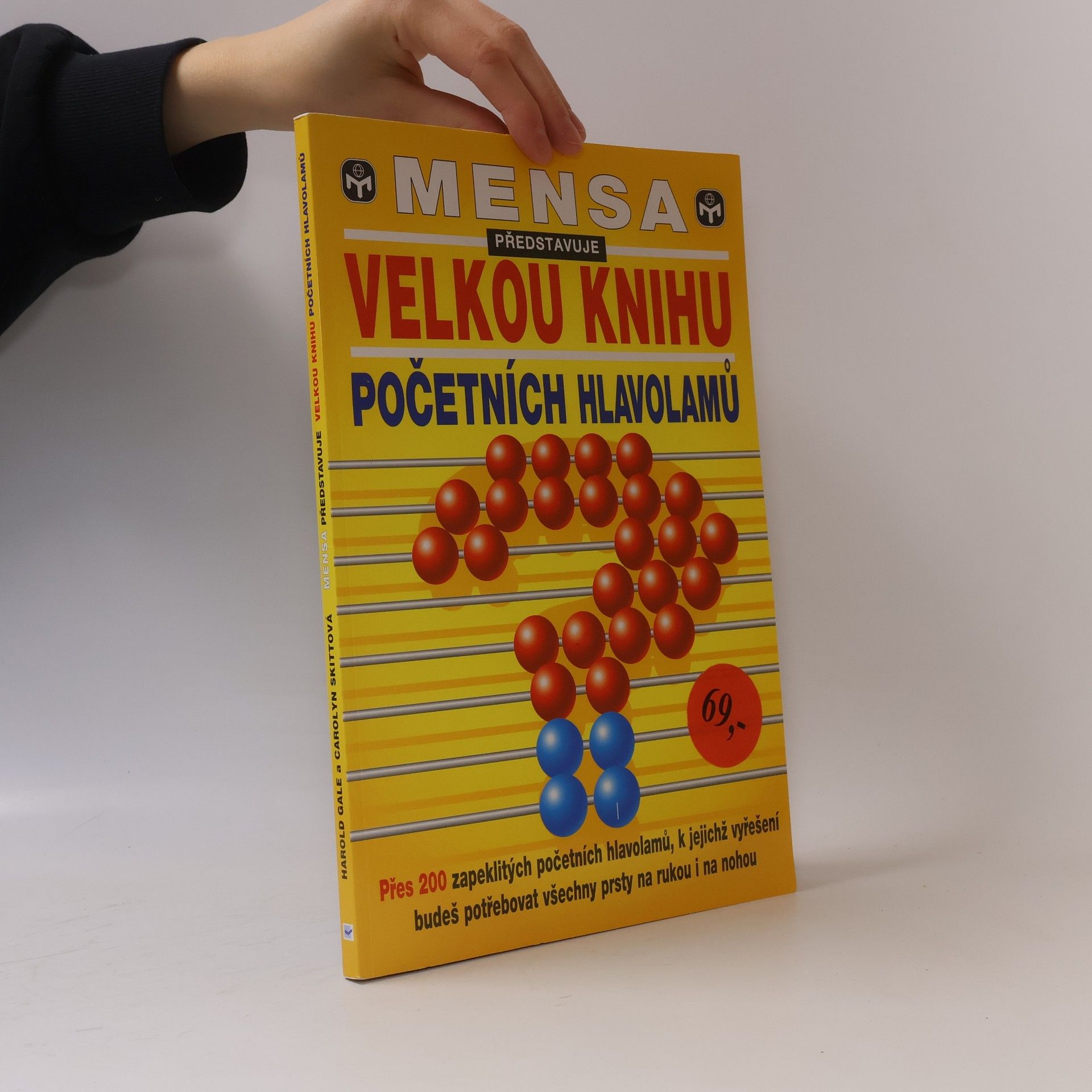 Carolyn Skitt Velká kniha početních hlavolamů