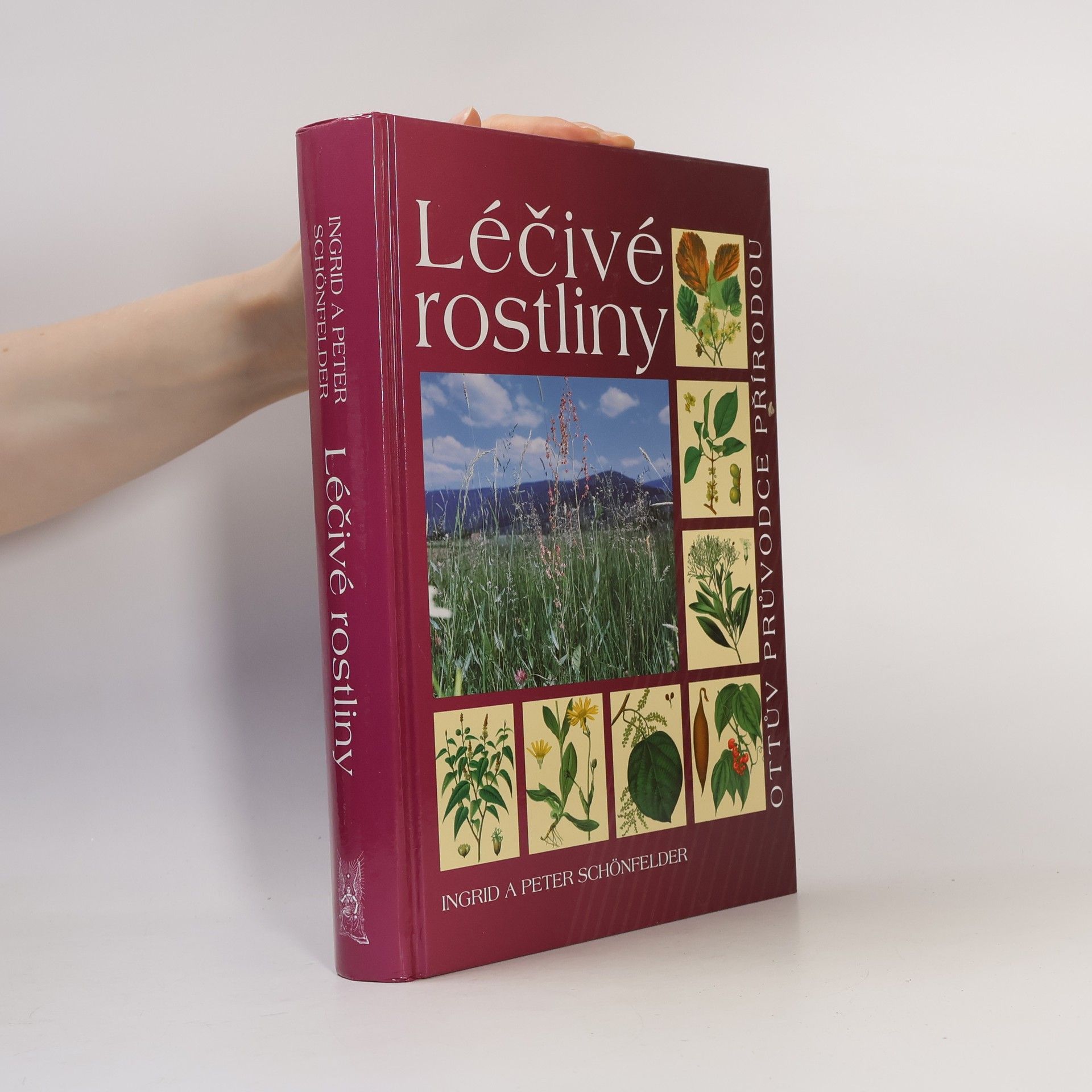 Léčivé rostliny
