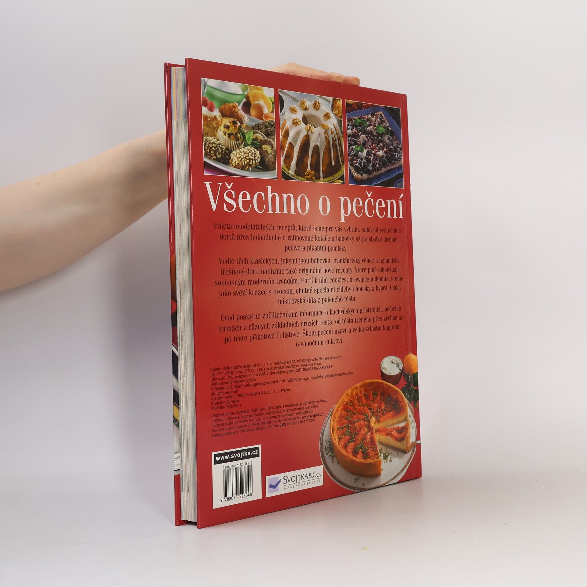 Auteurscollectief Všechno o pečení