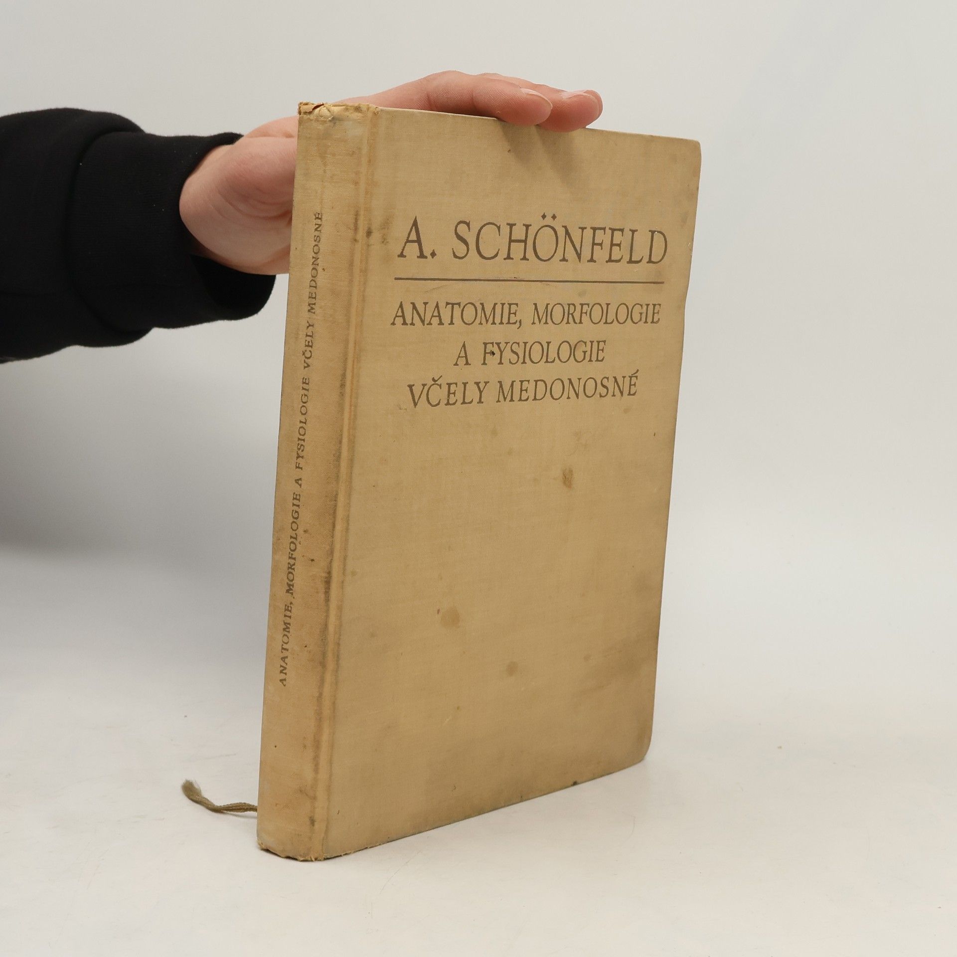 Antonín Schönfeld Anatomie, morfologie a fysiologie včely medonosné