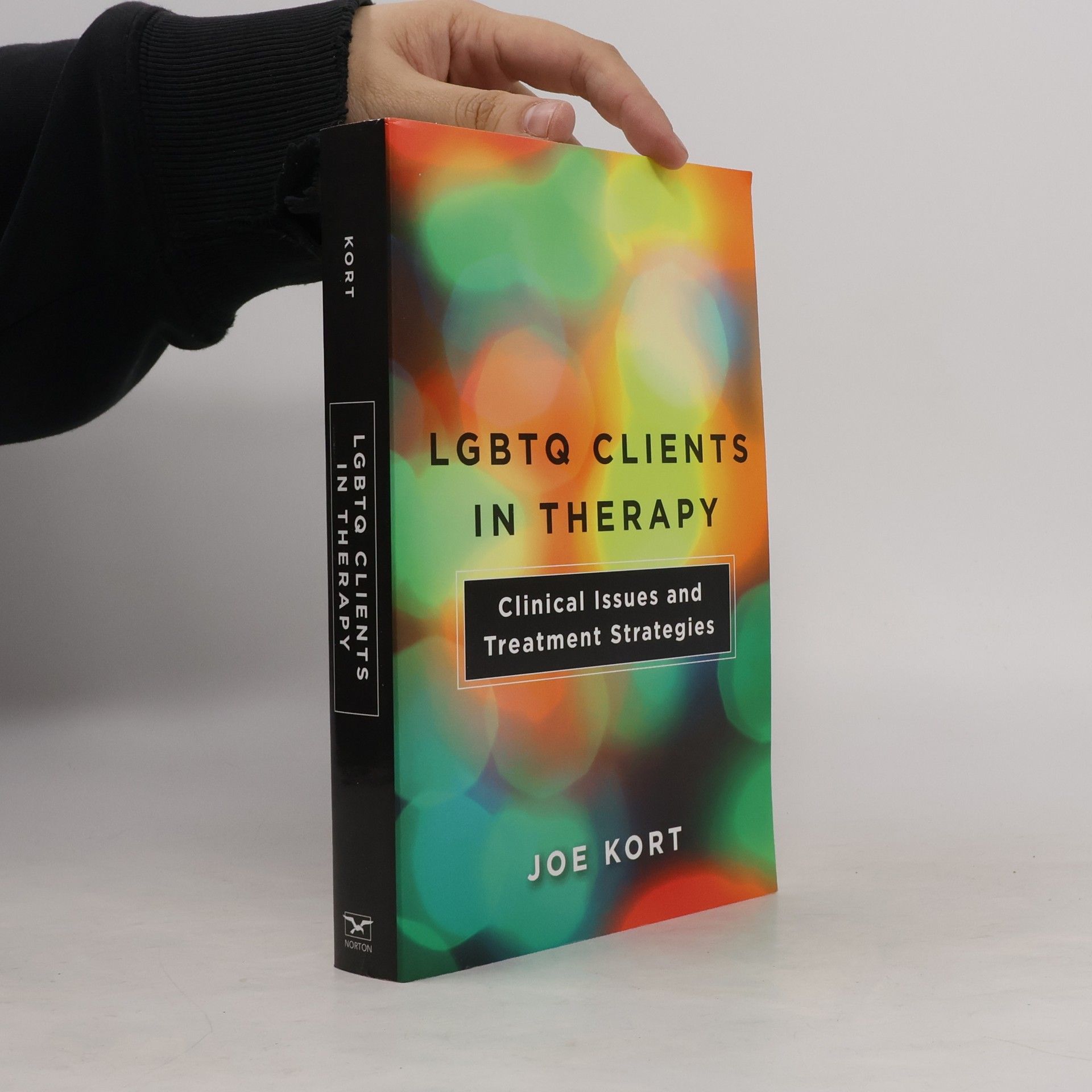Joe Kort LGBTQ Clients in Therapy - Clinical Issues and Treatment Strategies