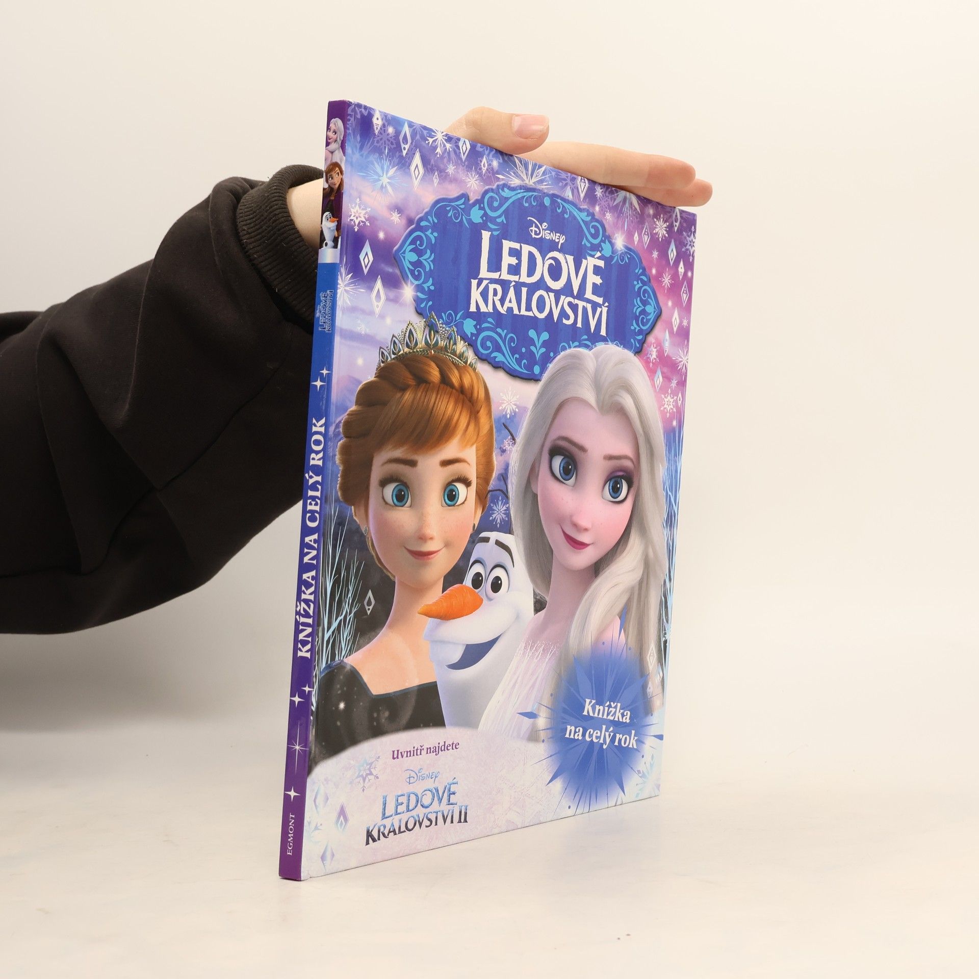 Autorenkollektiv Ledové království