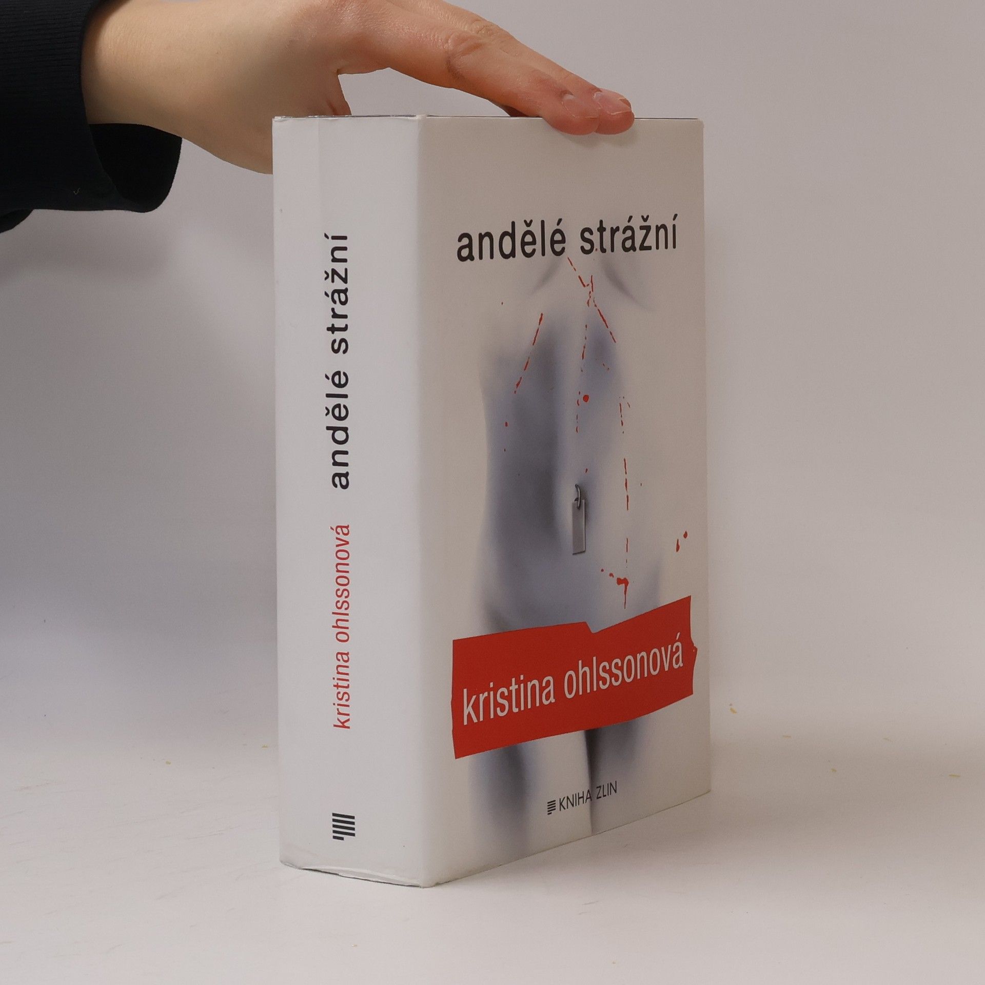 Kristina Ohlsson Andělé strážní
