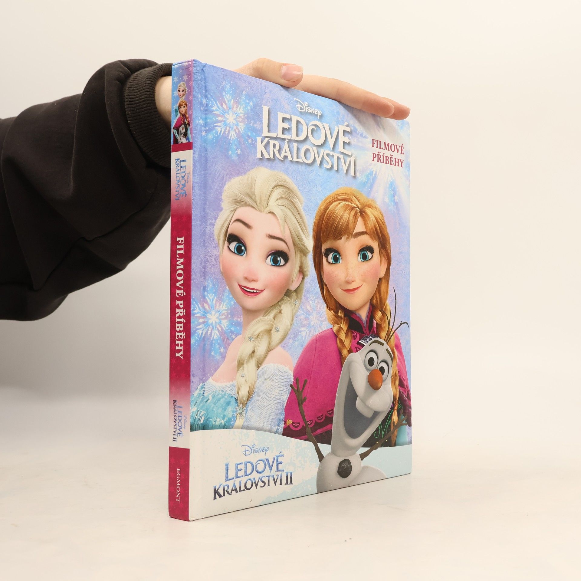 Lisa Ann Marsoli Ledové království a Ledové království 2