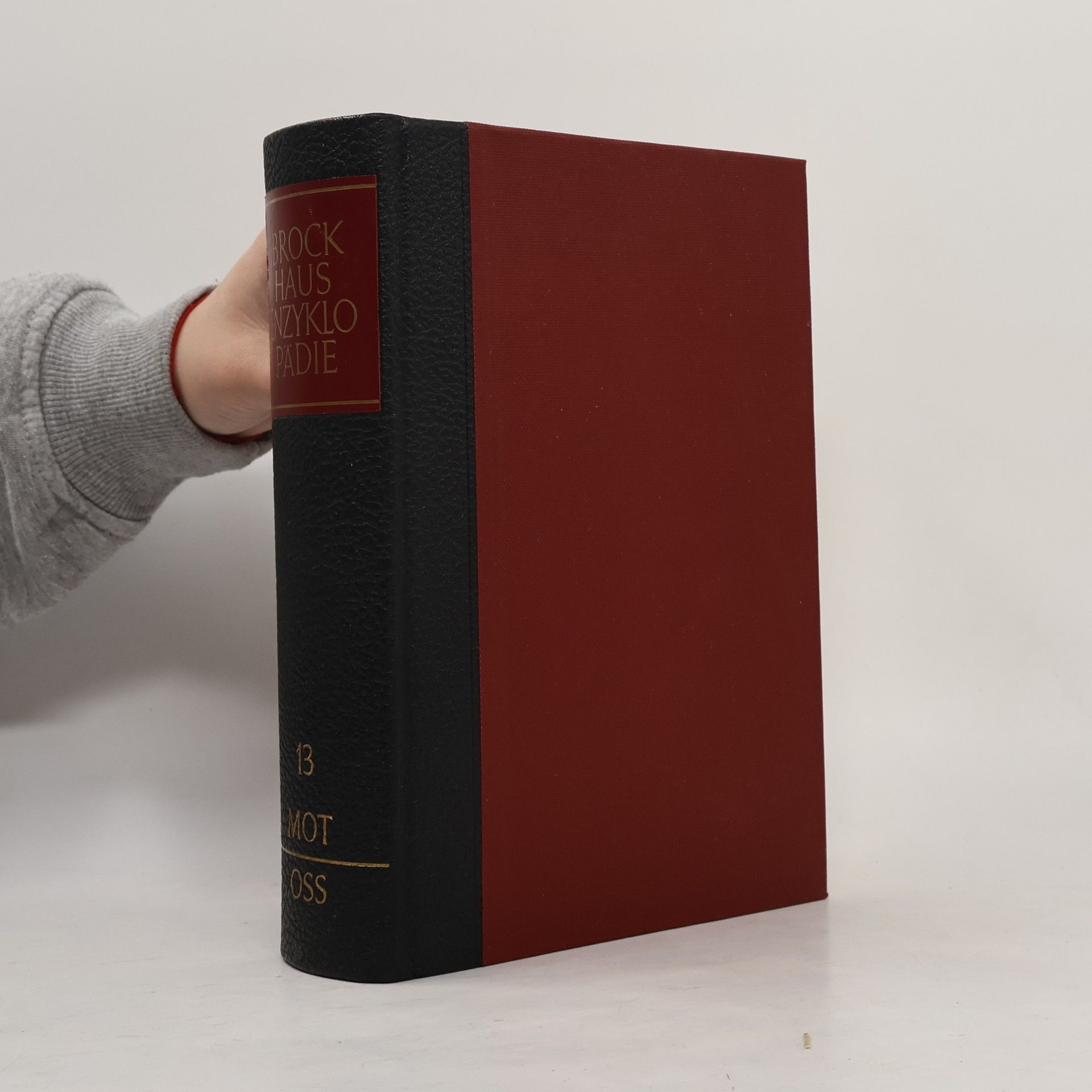 Autorenkollektiv Brockhaus-Enzyklopädie 13