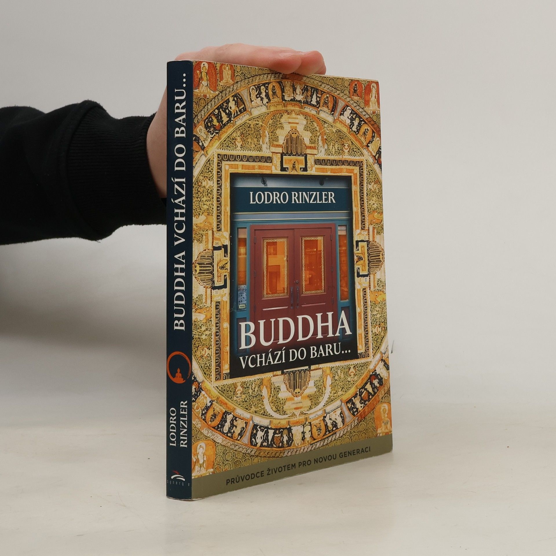 Lodro Rinzler Buddha vchází do baru