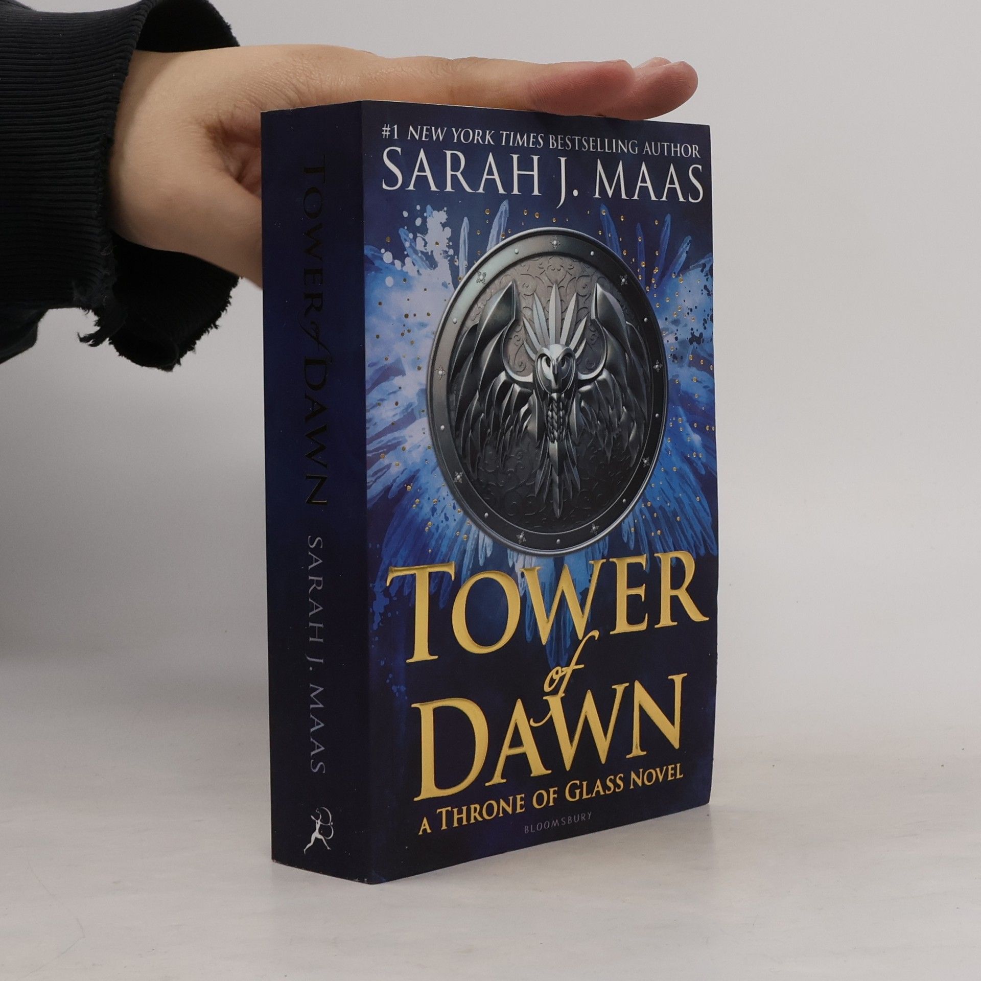 Sarah J. Maas Tower of dawn
