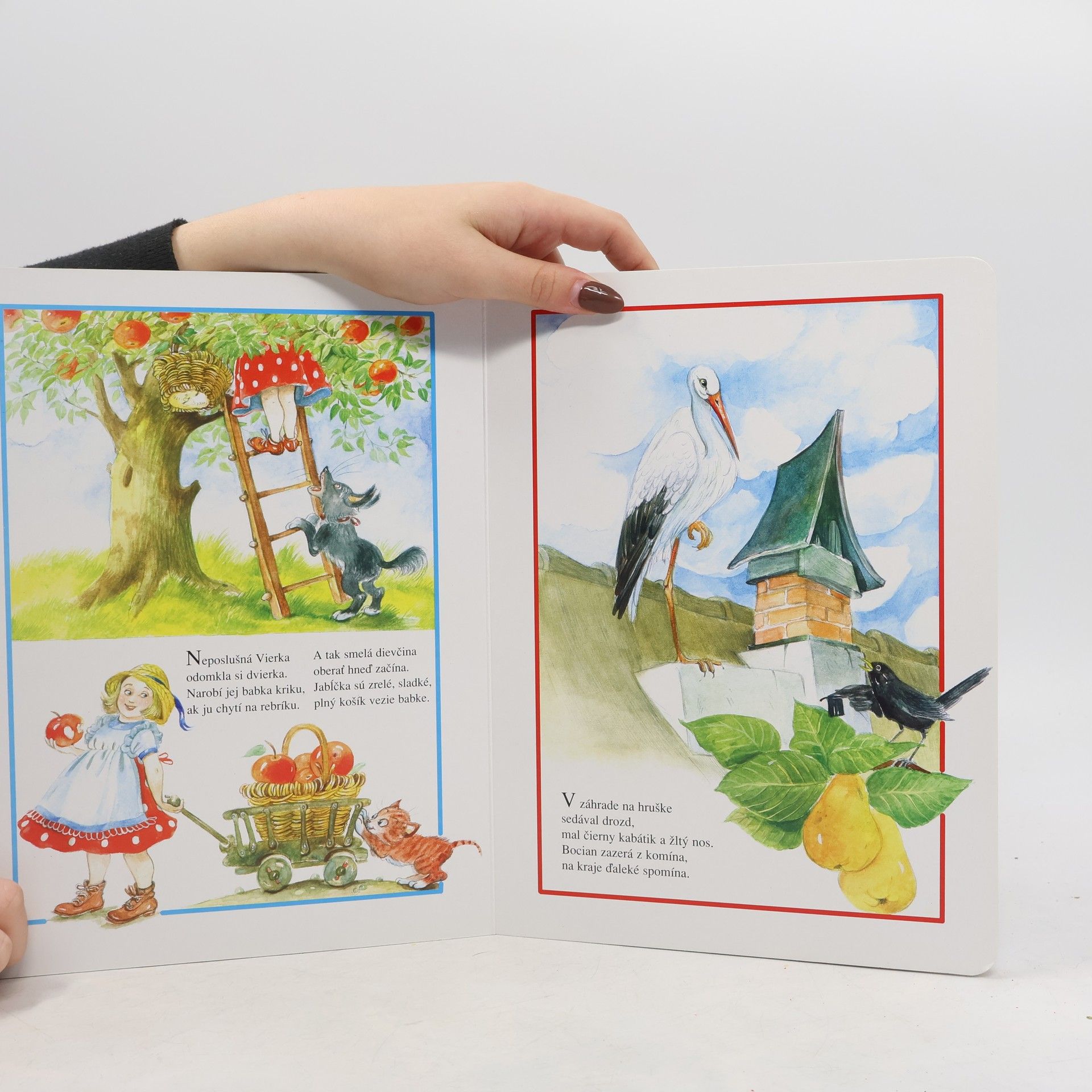 Autores varios Riekanky pre najmenších