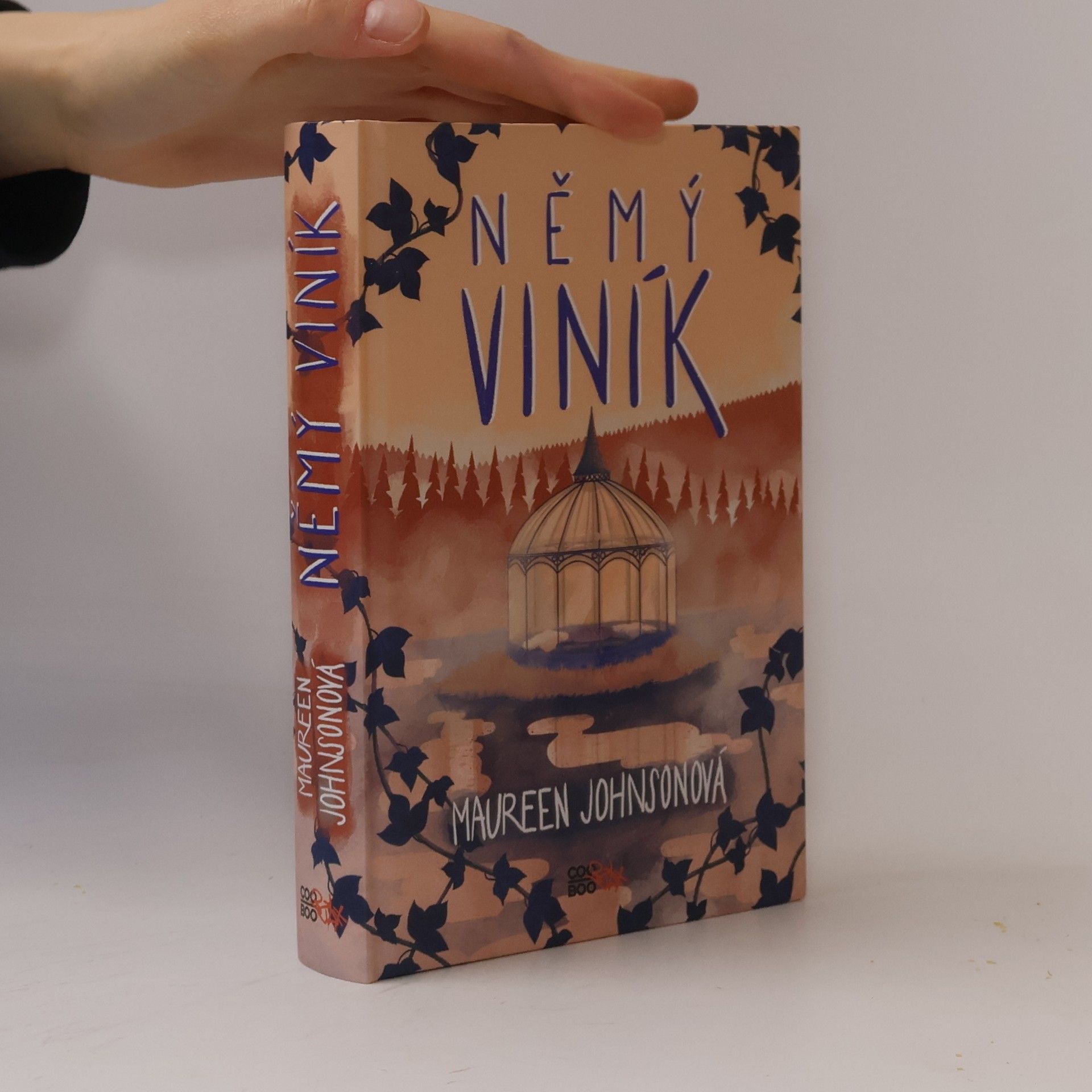 Maureen Johnson Němý viník