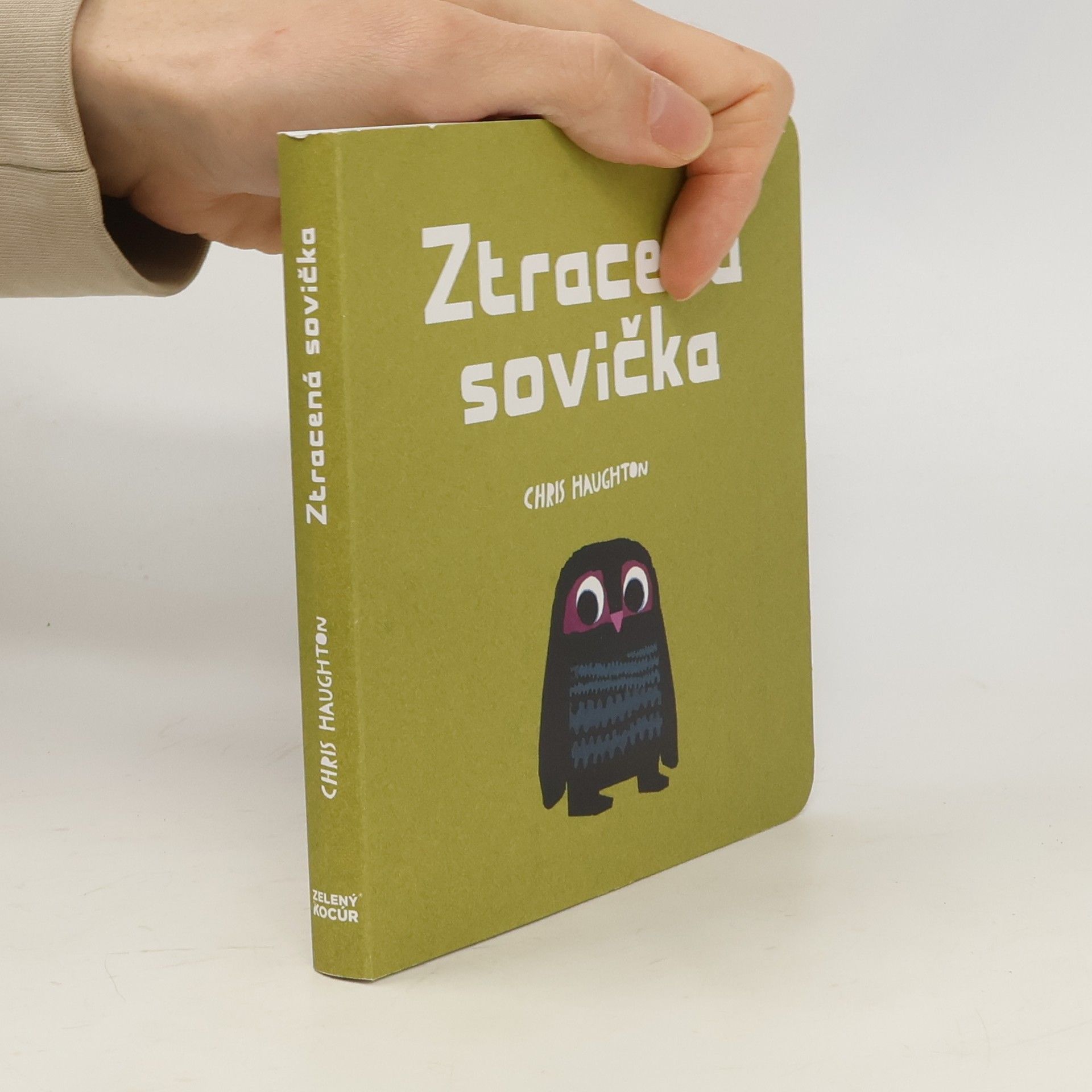 Chris Haughton Ztracená sovička