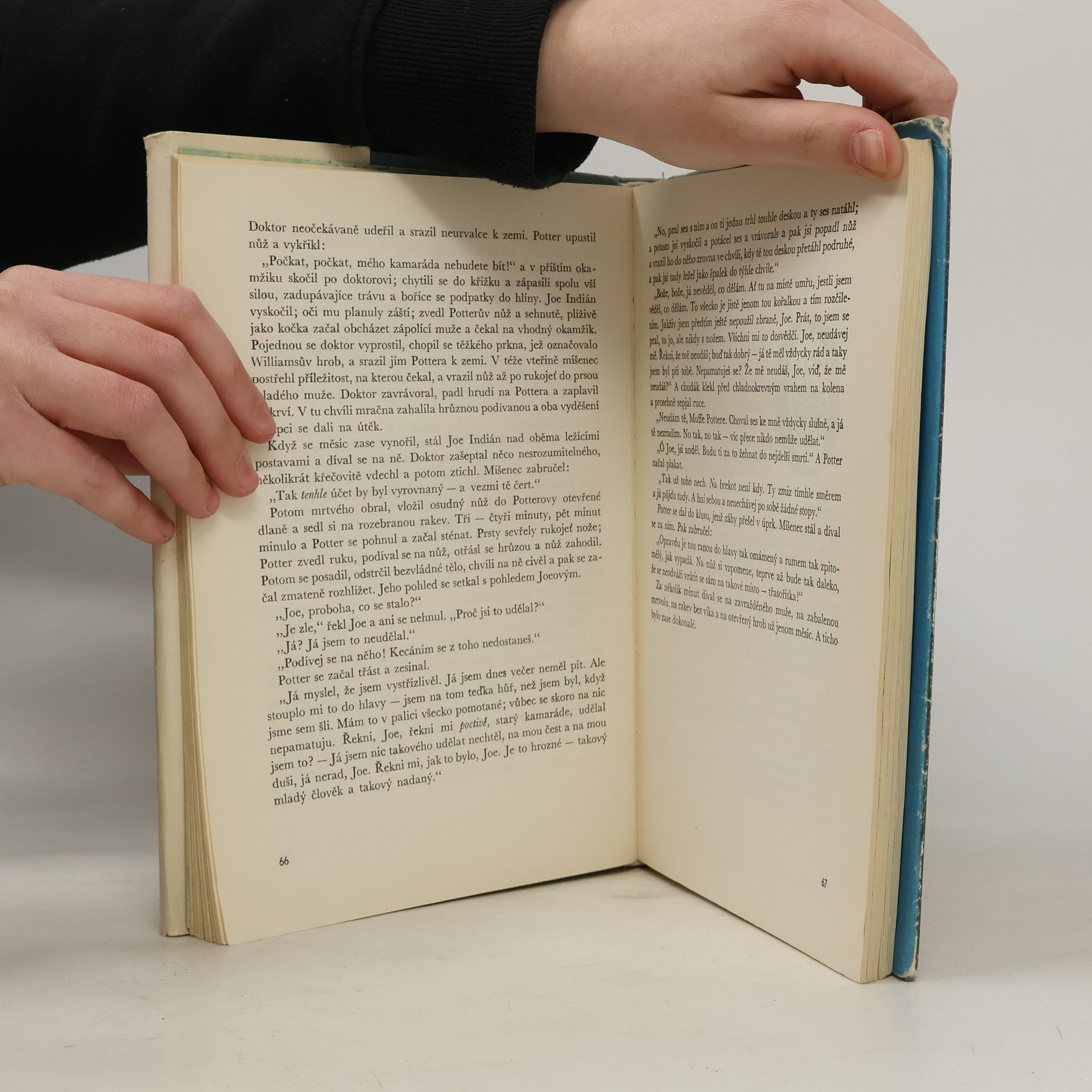Mark Twain Dobrodružství Toma Sawyera