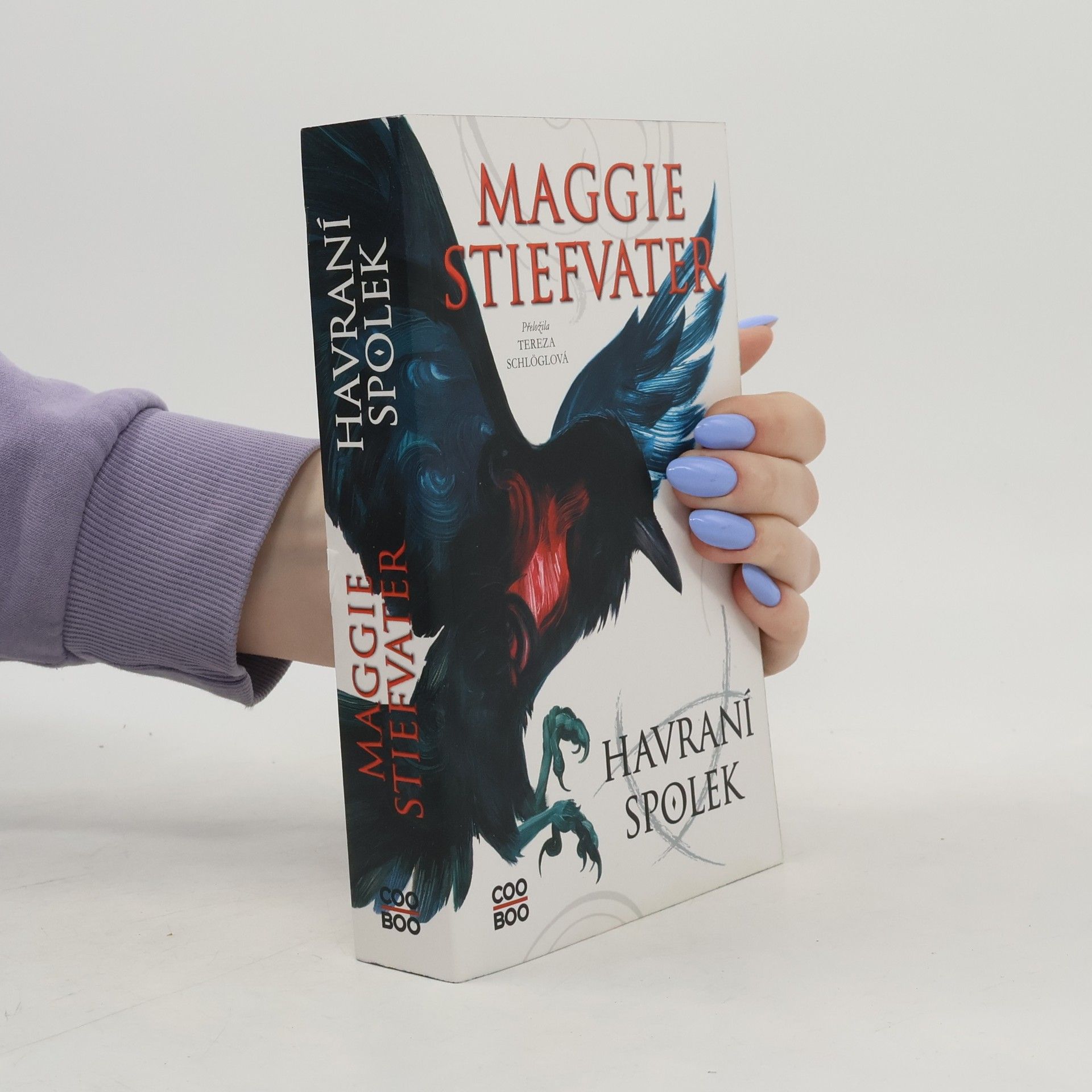 Maggie Stiefvater Havraní spolek