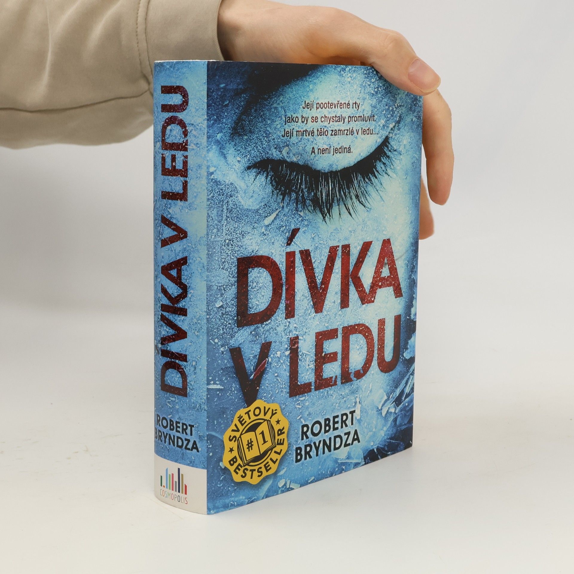 Robert Bryndza Dívka v ledu
