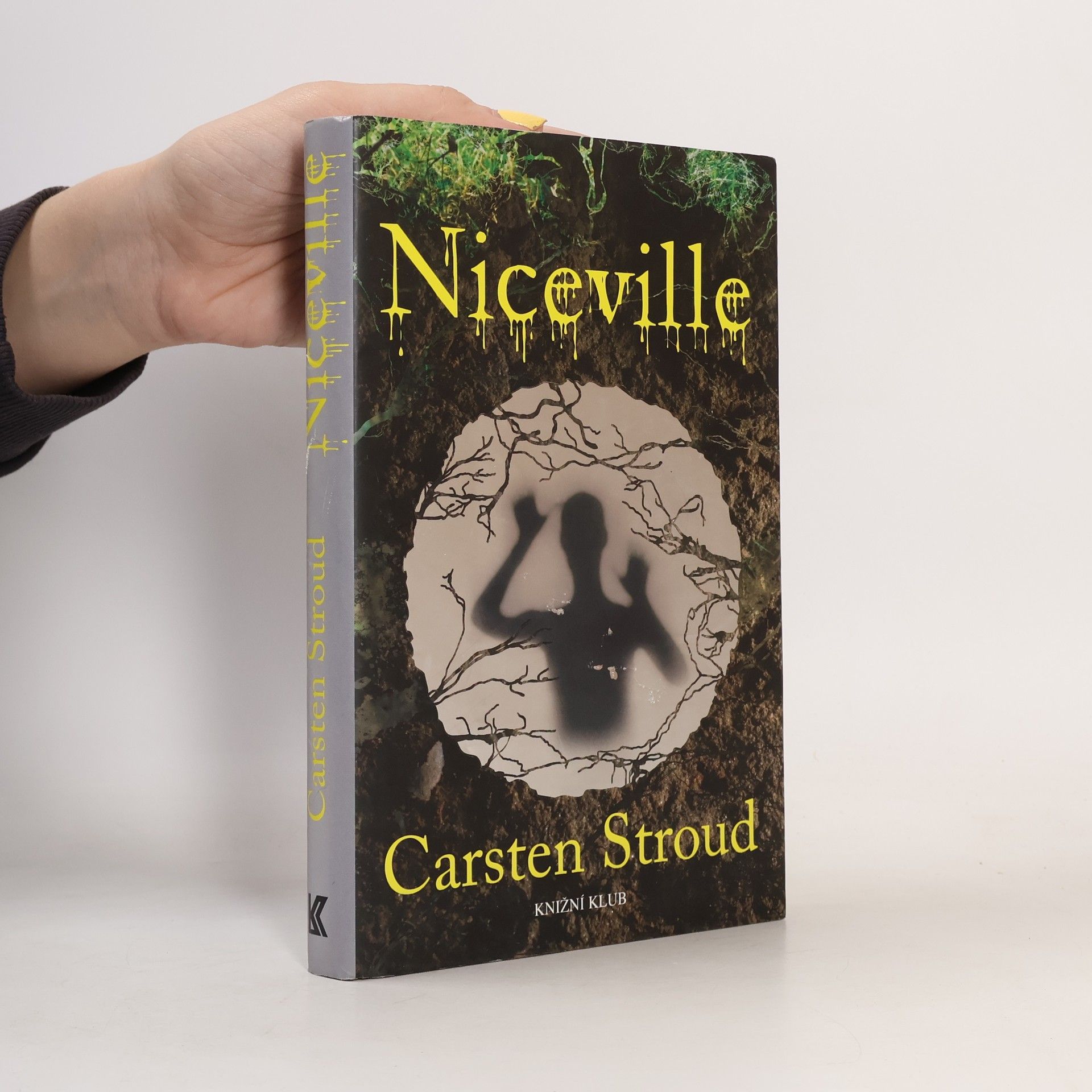 Carsten Stroud Niceville