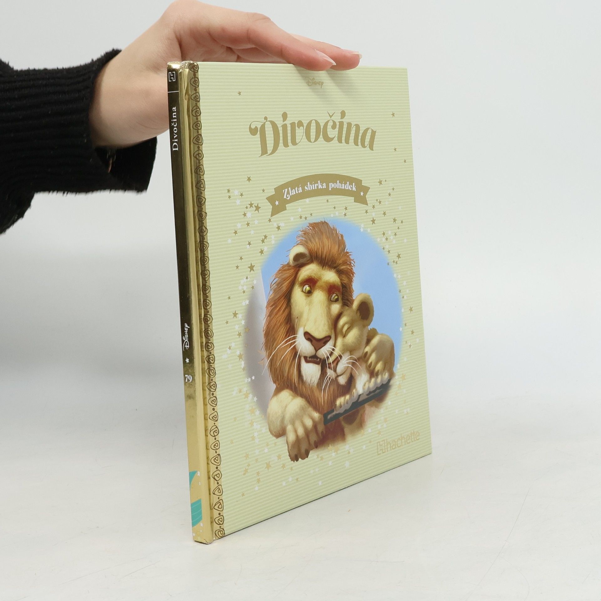 Autorenkollektiv Zlatá sbírka pohádek 79. Divočina