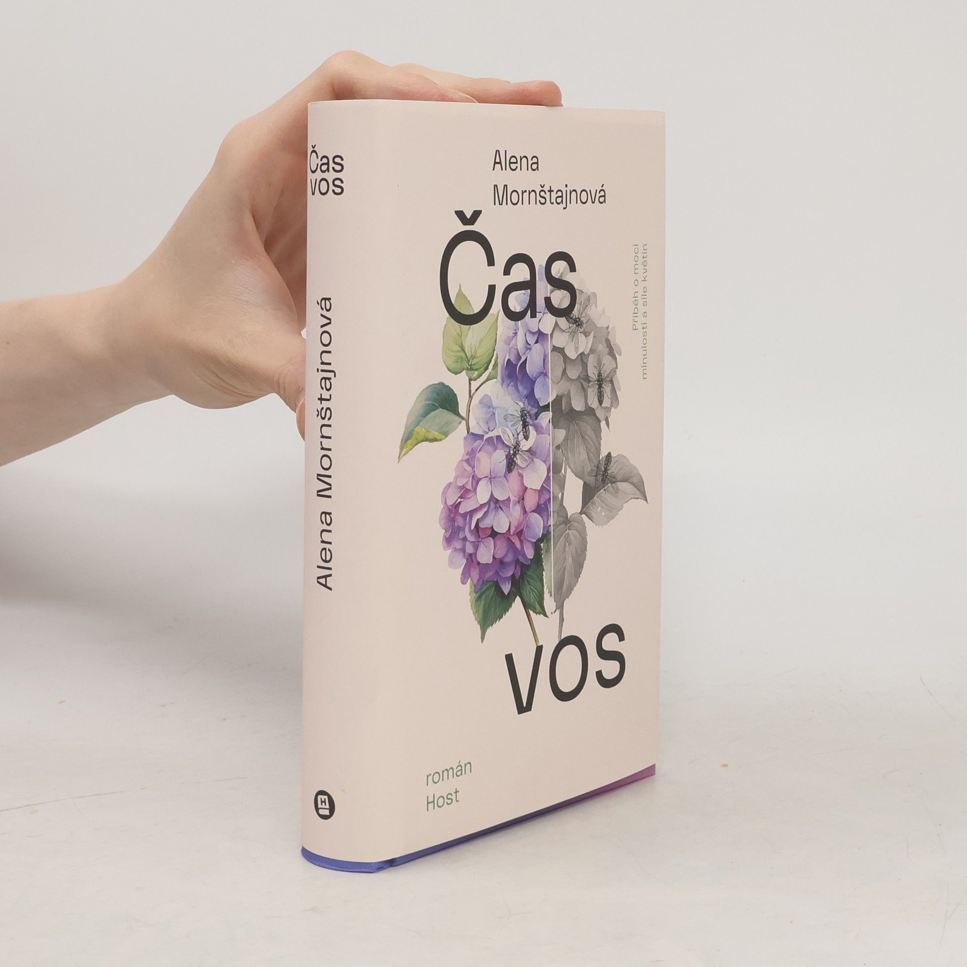 Čas vos