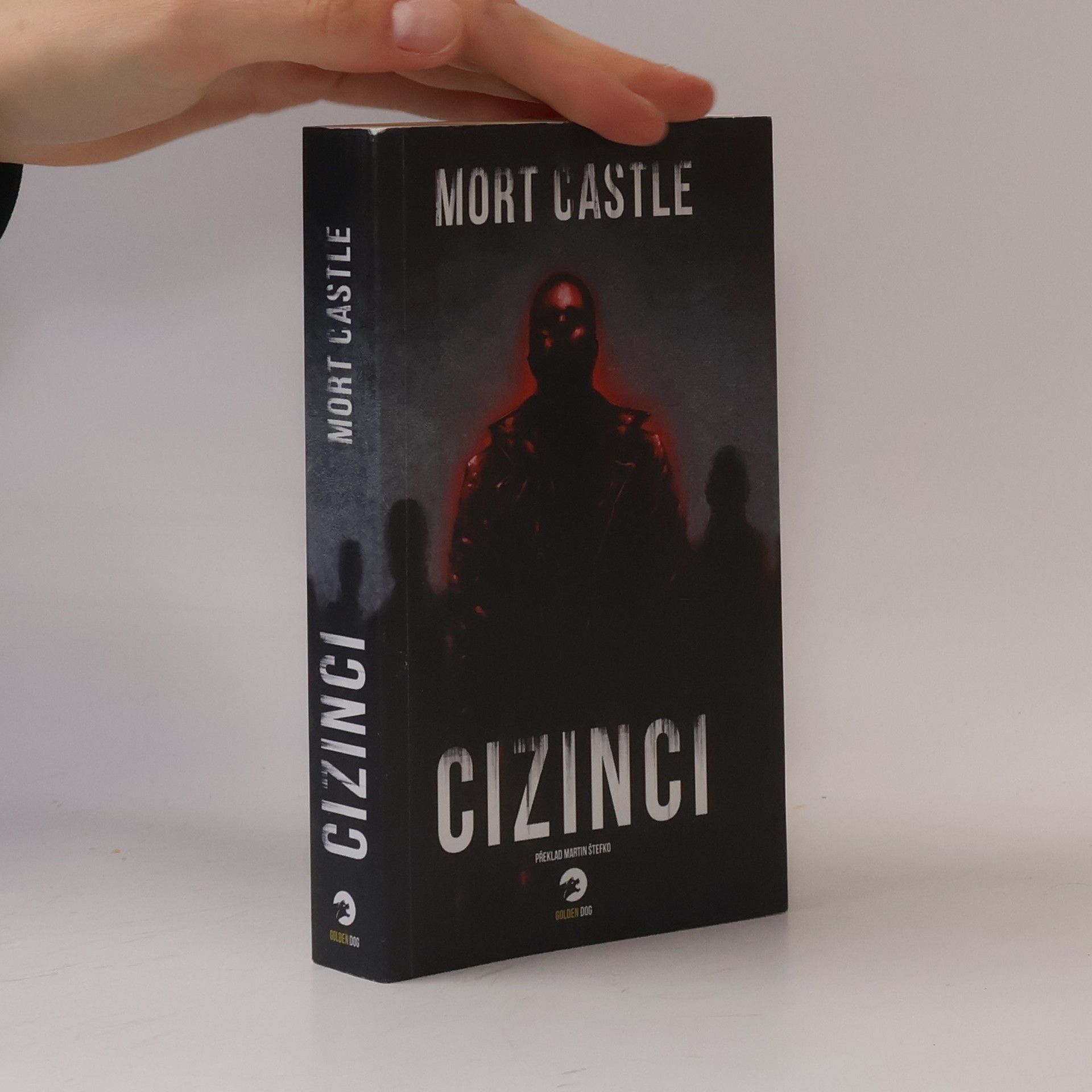 Cizinci