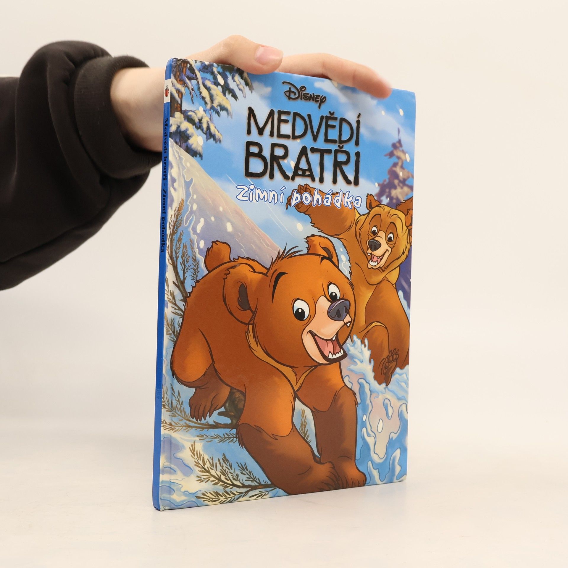 Šárka Kadlecová Medvědí bratři. Zimní pohádka
