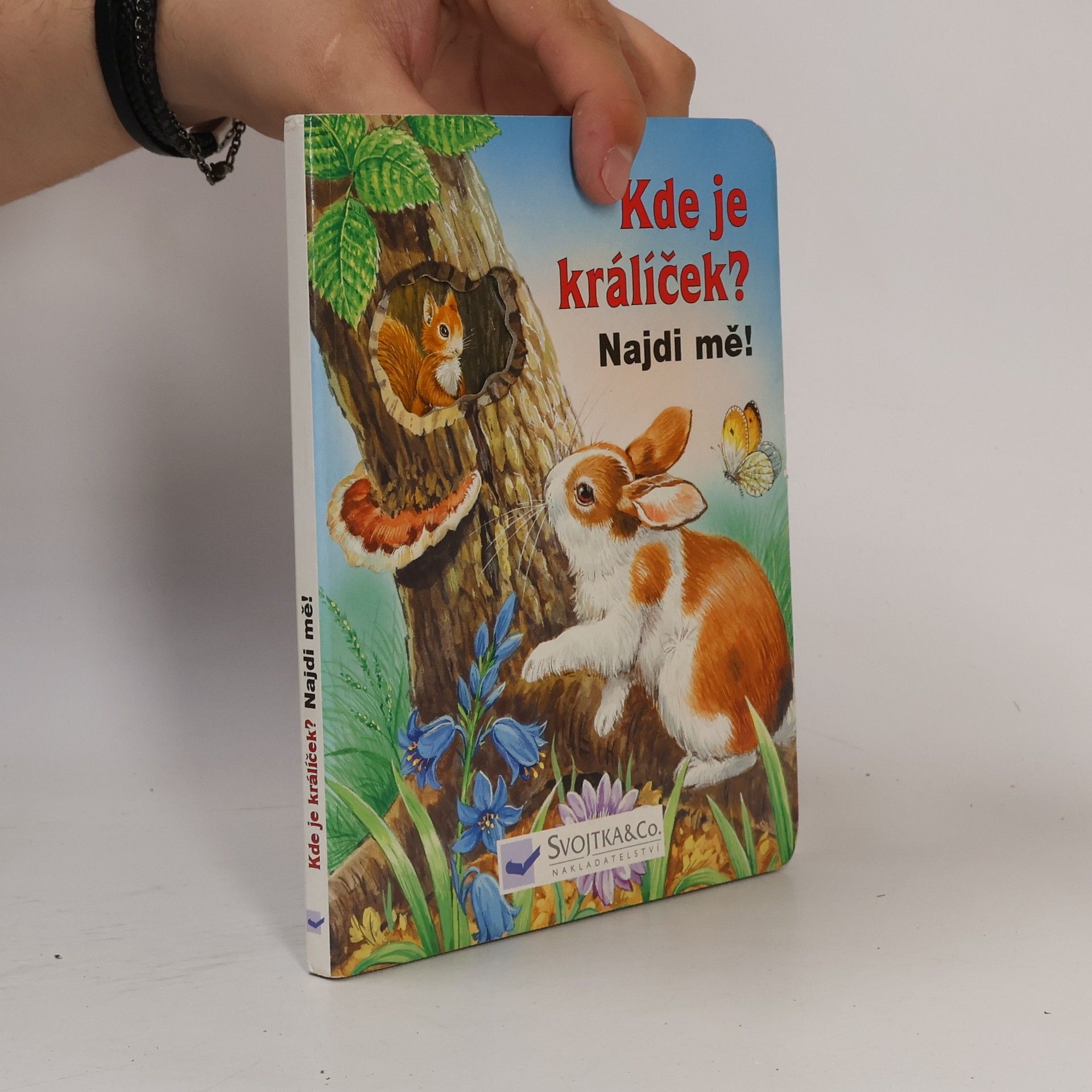 Jiří Dvořák Kde je králíček?