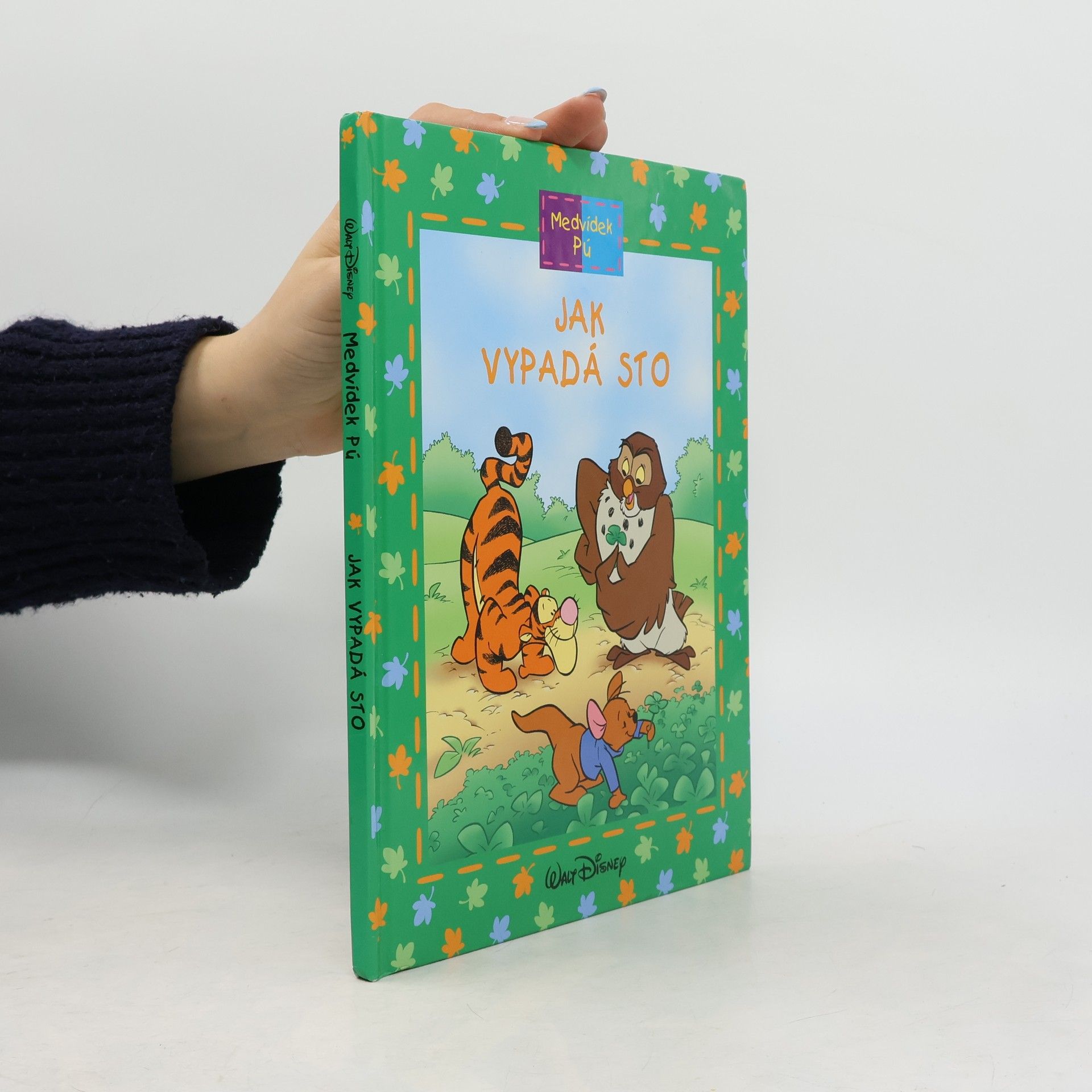 Auteurscollectief Medvídek Pú. Jak vypadá sto