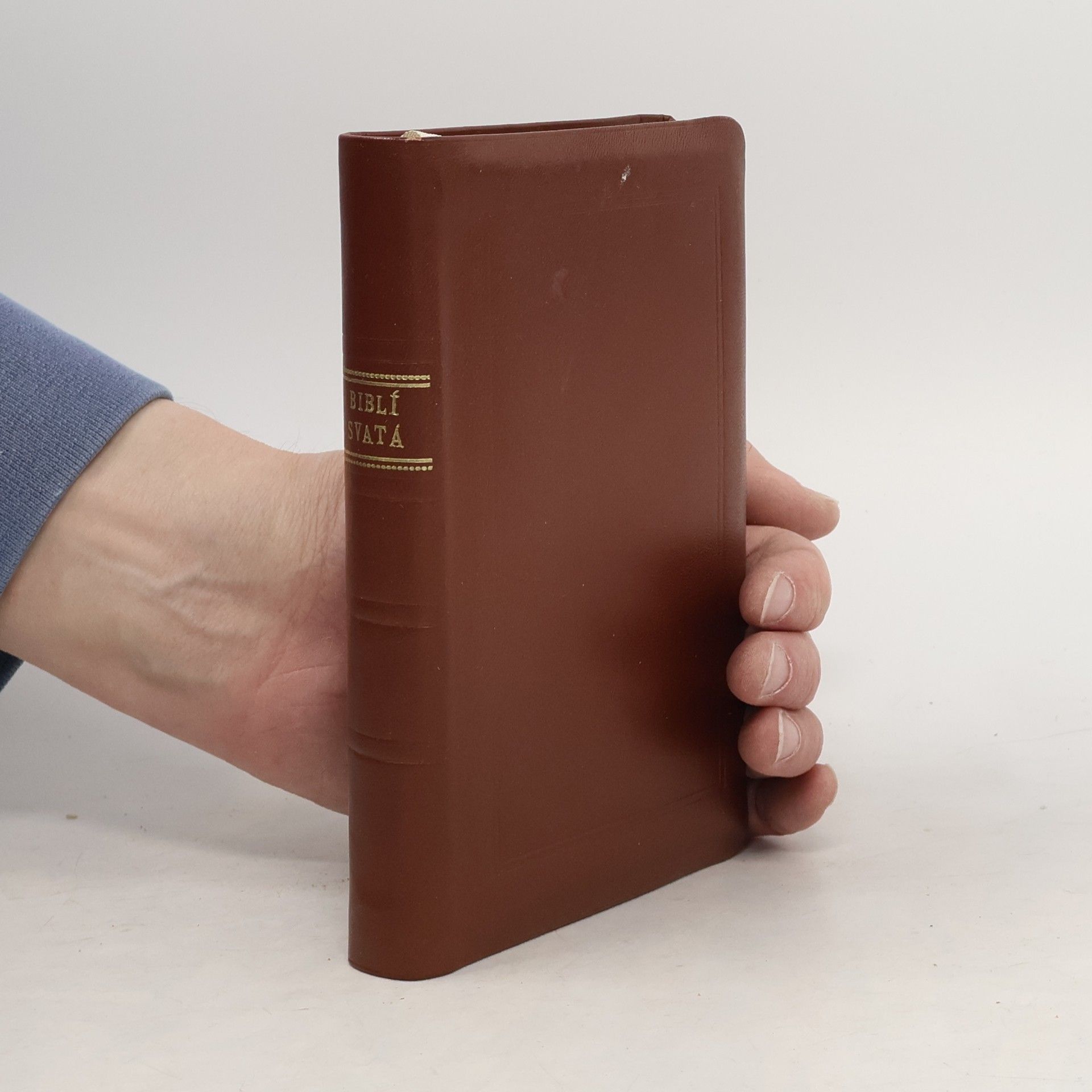 Kolektiv autorů Bible svatá aneb včecka svatá písma starého i nového zákona