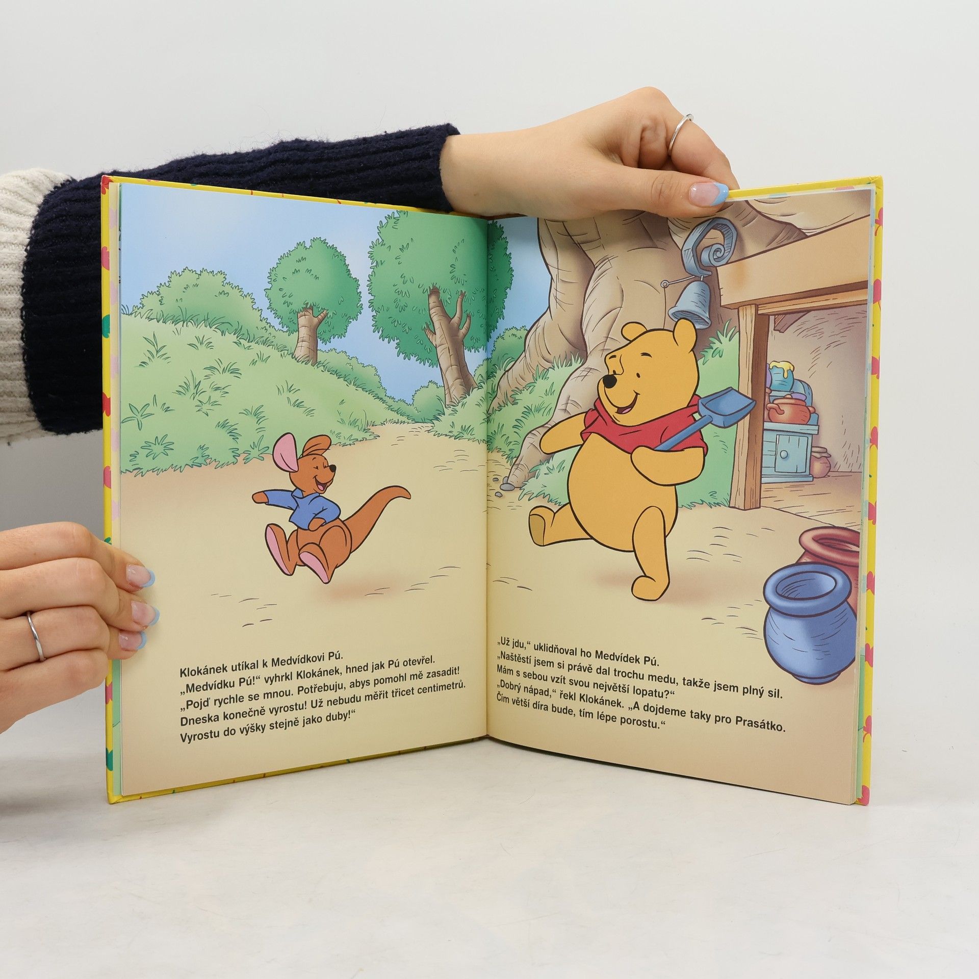 Walt Disney Medvídek Pú - Malý velký klokánek