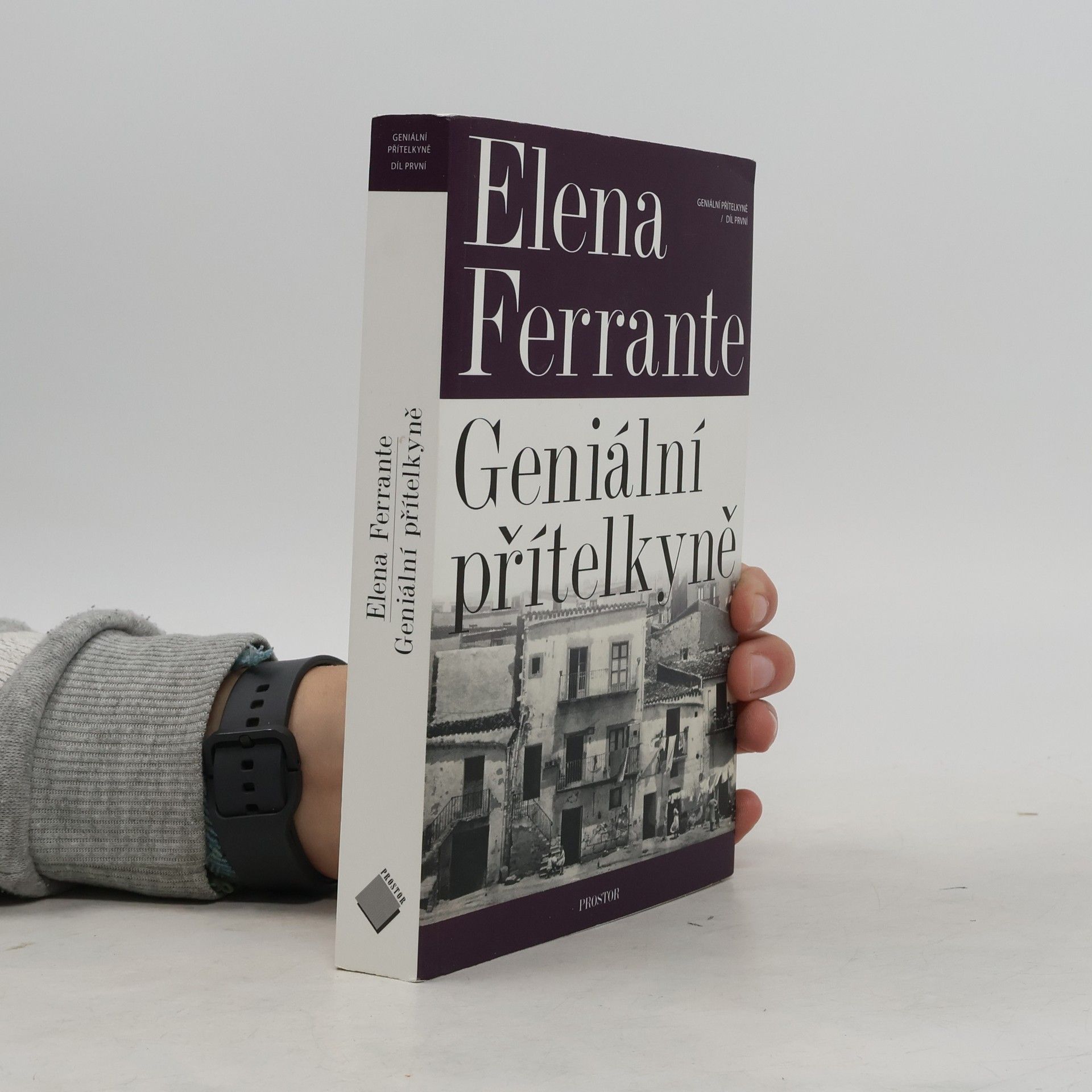 Elena Ferrante Geniální přítelkyně 1. Dětství a dospívání