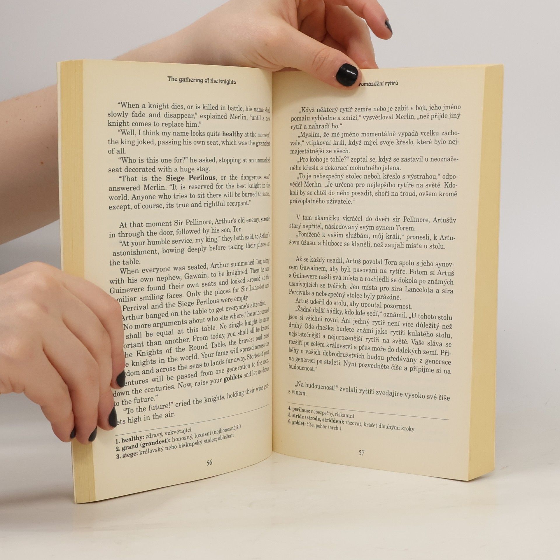 Felicity Brooks Král Artuš = Tales of King Arthur