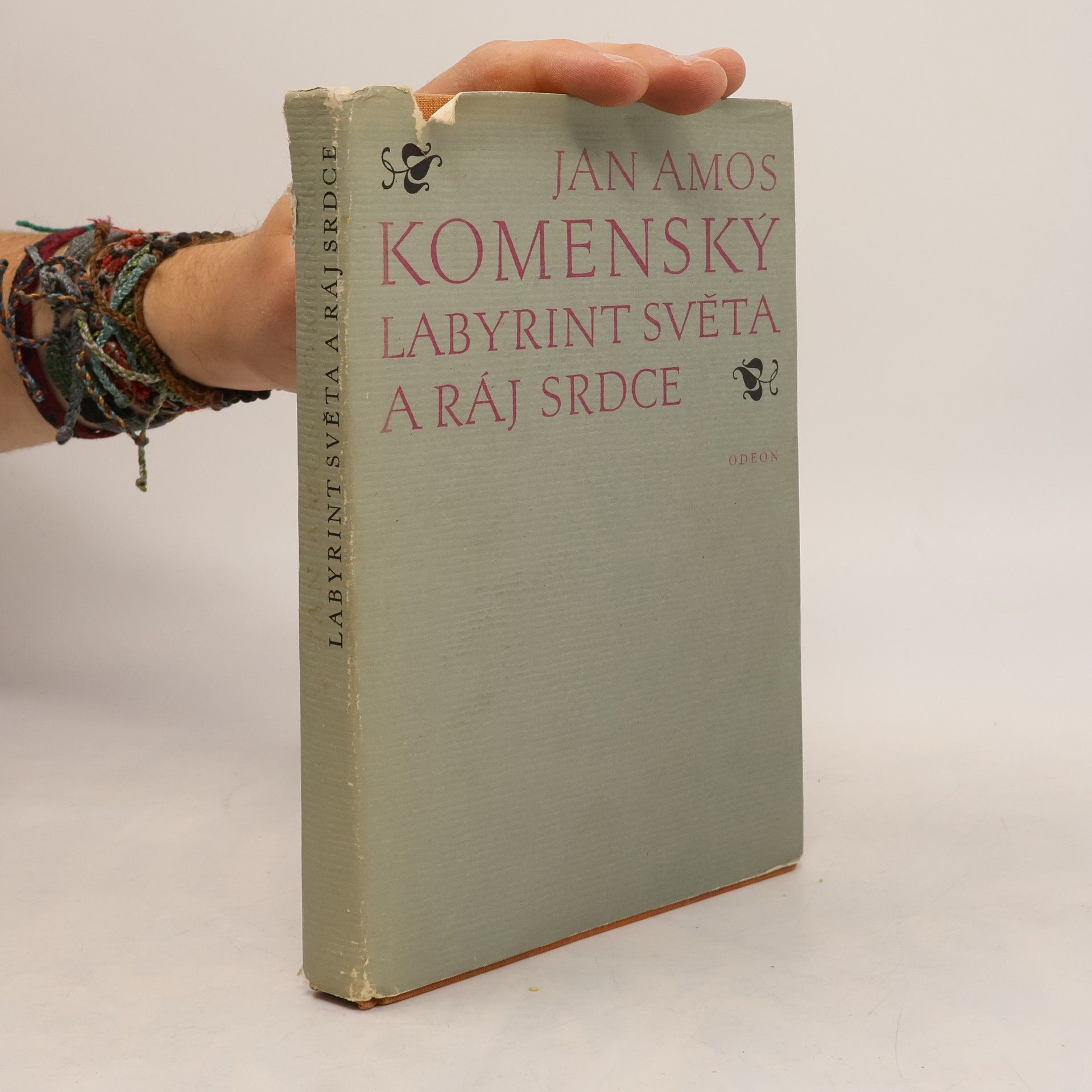 Johann Amos Comenius Labyrint světa a ráj srdce
