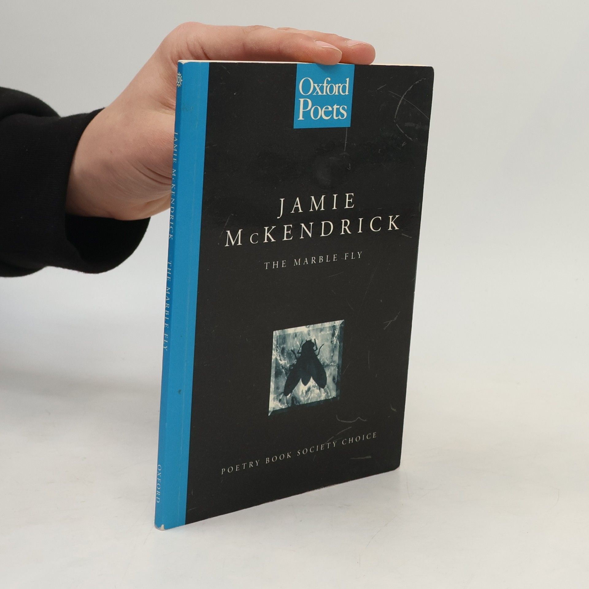 Jamie McKendrick The Marble Fly