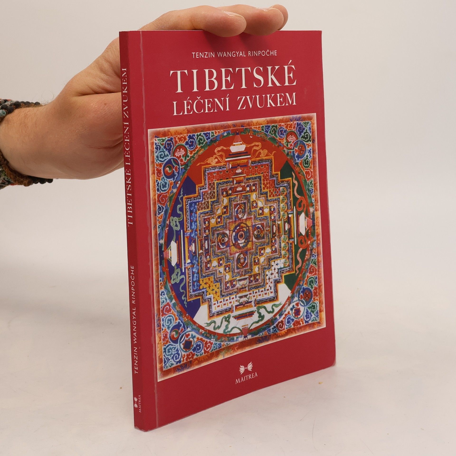 Tändzin Wanggjal Tibetské léčení zvukem