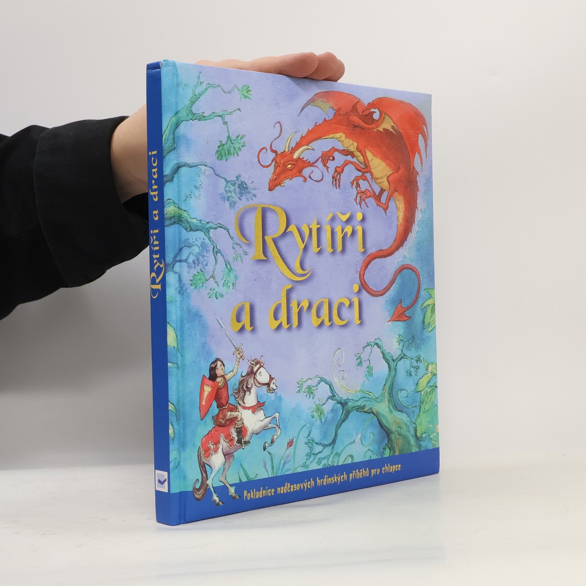 Kolektiv autorů Rytíři a draci