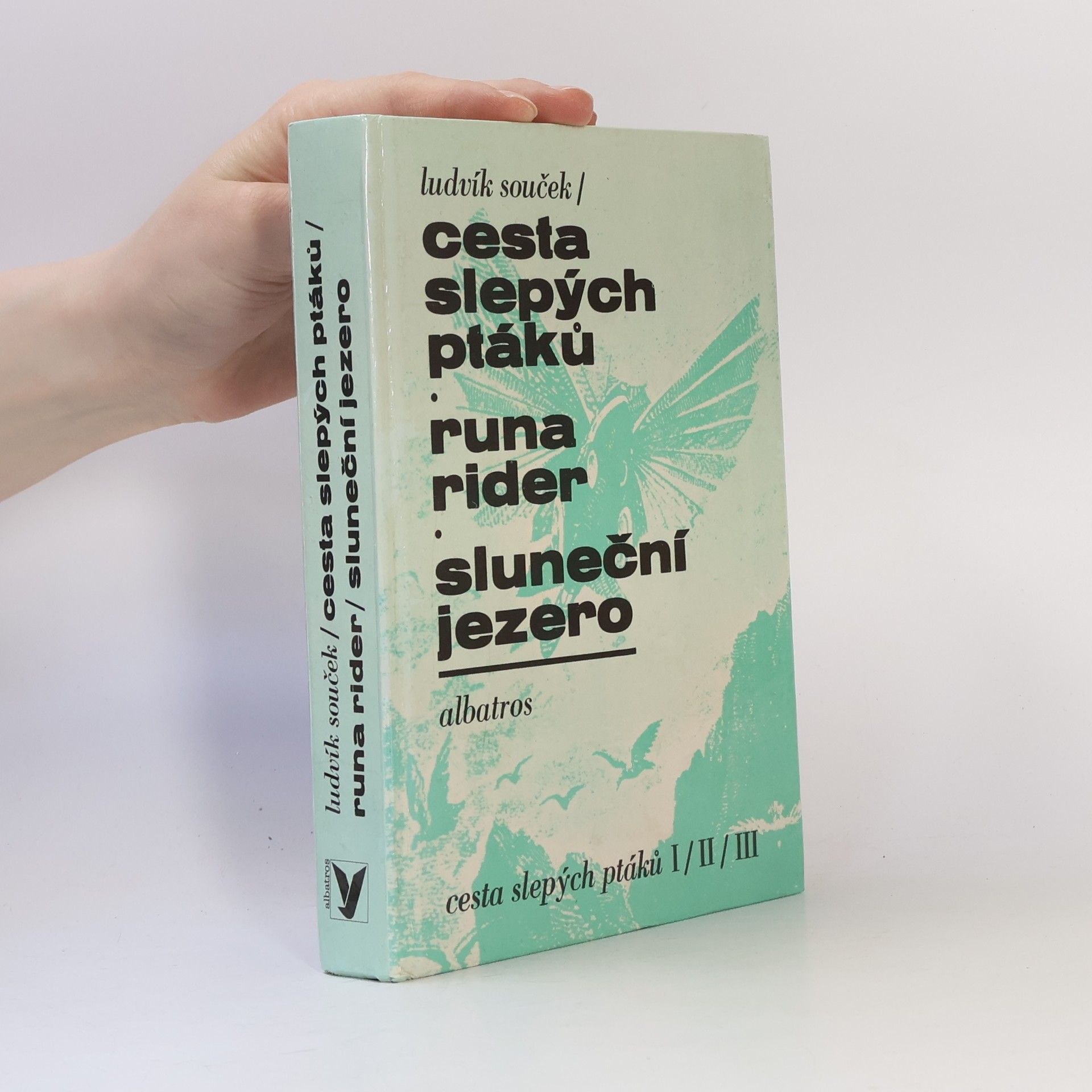 Ludvík Souček Cesta slepých ptáků, Runa rider, Sluneční jezero