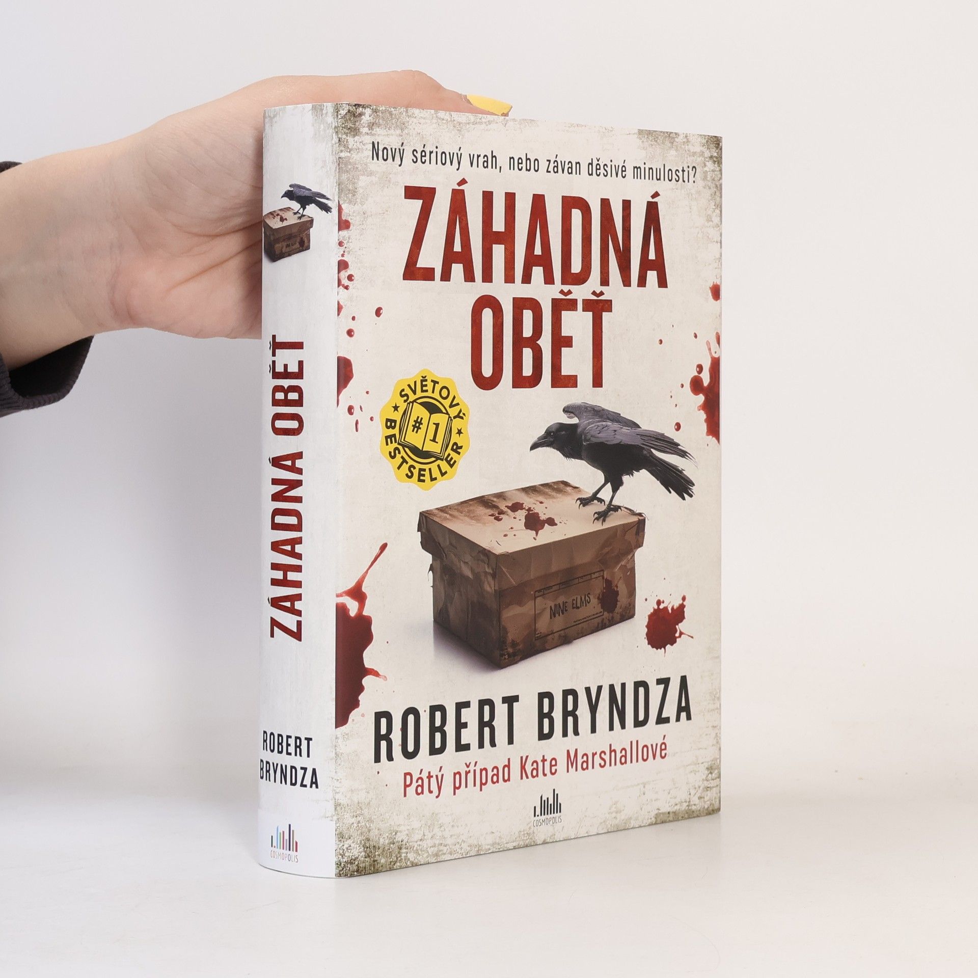 Robert Bryndza Záhadná oběť