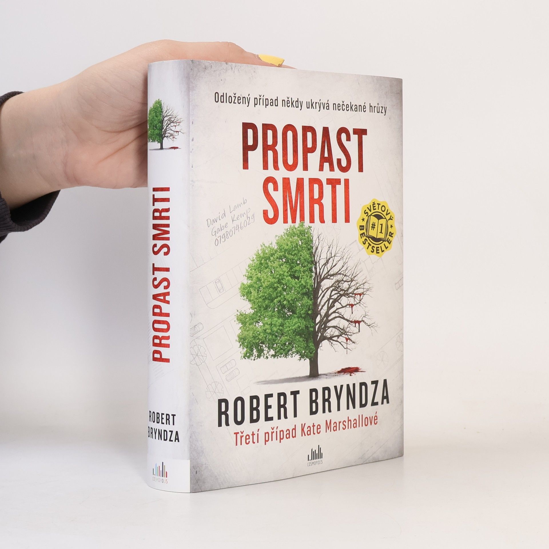 Propast smrti