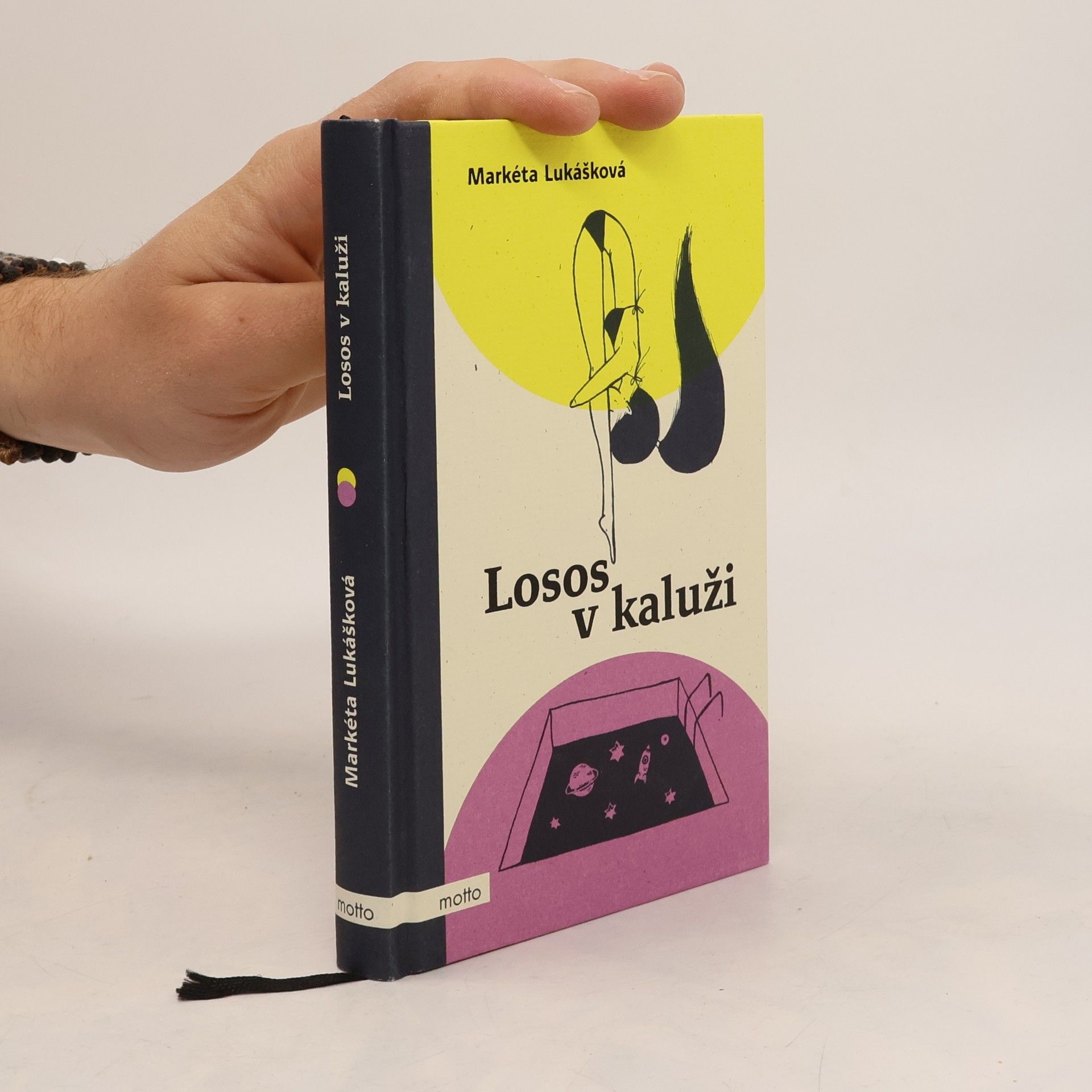 Markéta Lukášková Losos v kaluži