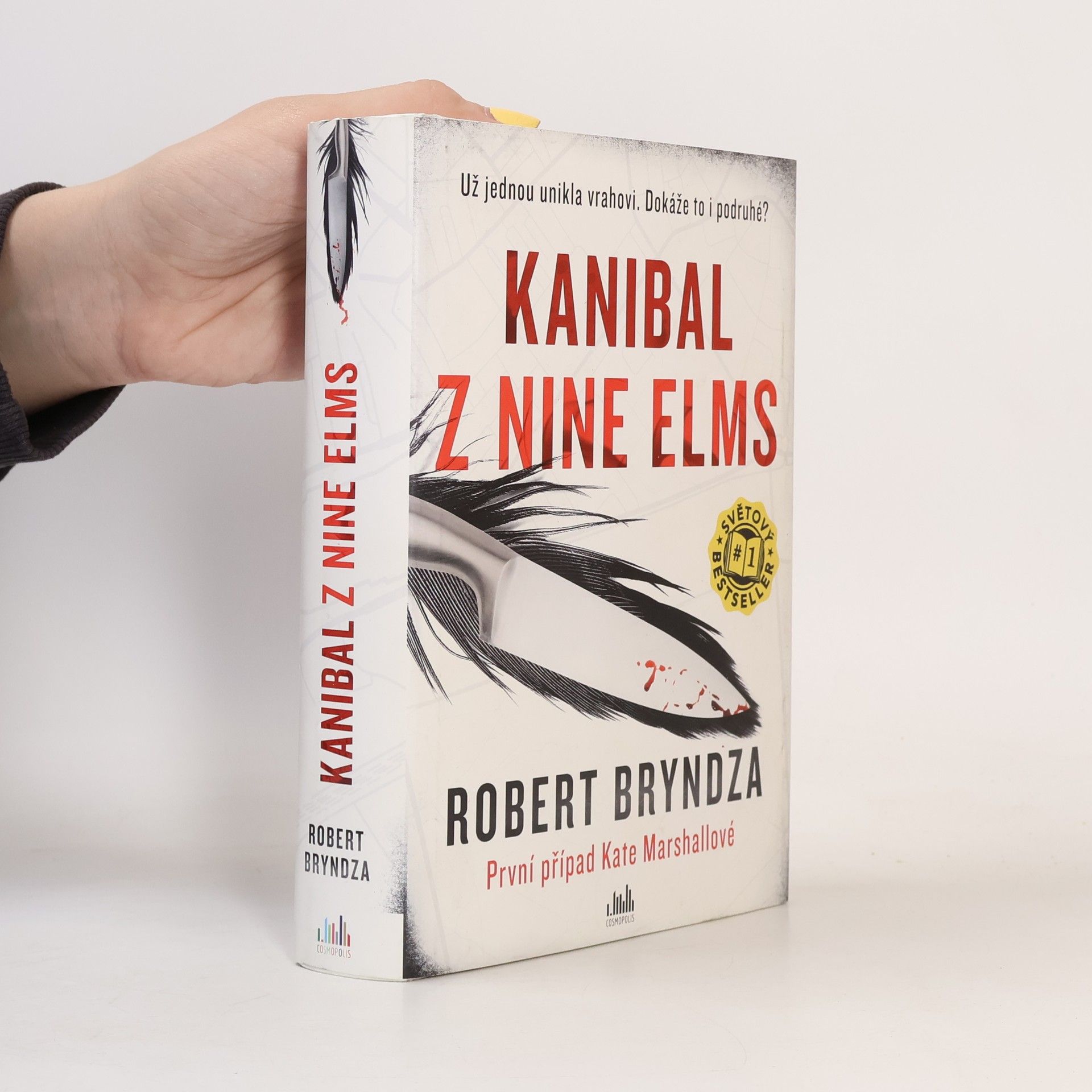 Robert Bryndza Kanibal z Nine Elms