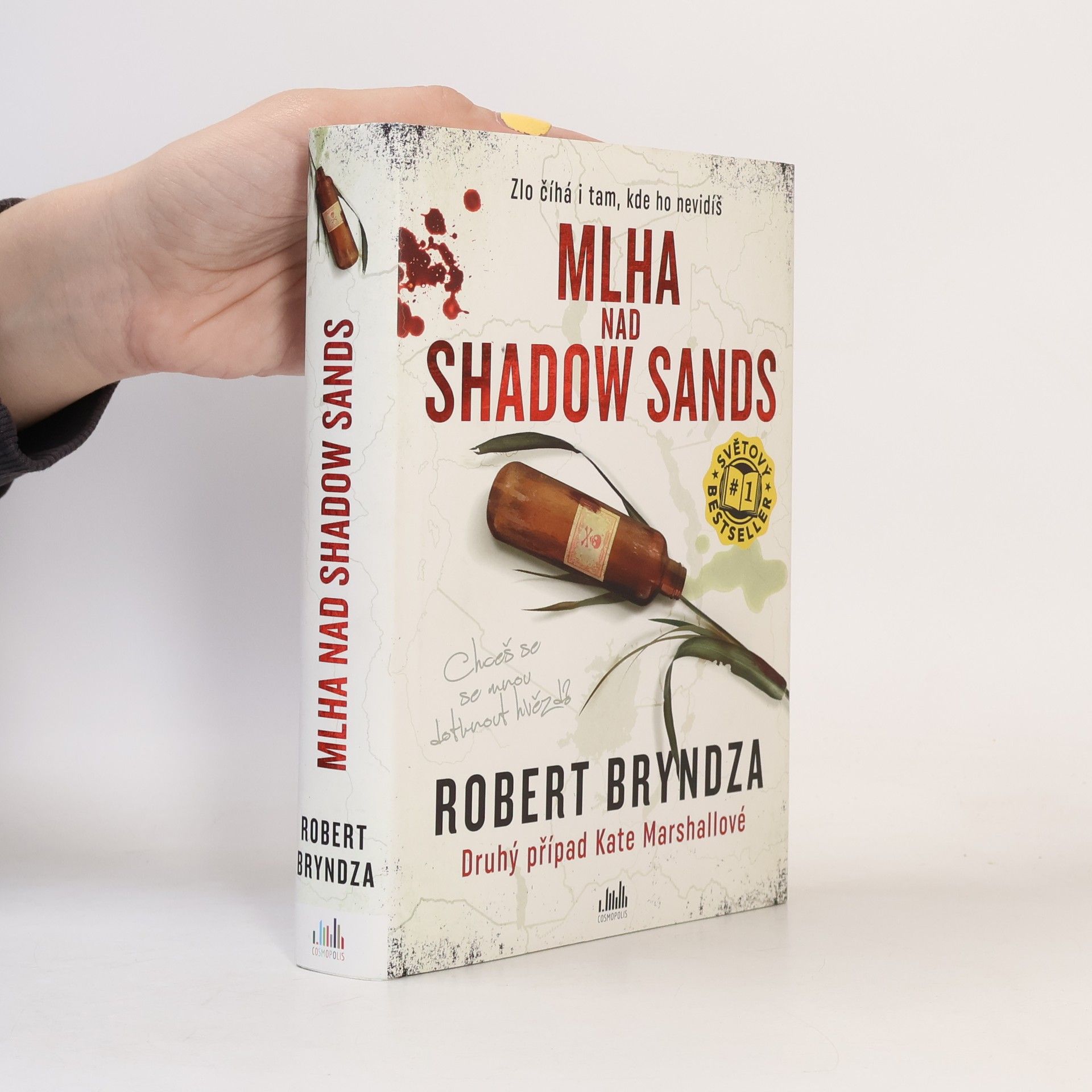 Robert Bryndza Mlha nad Shadow Sands
