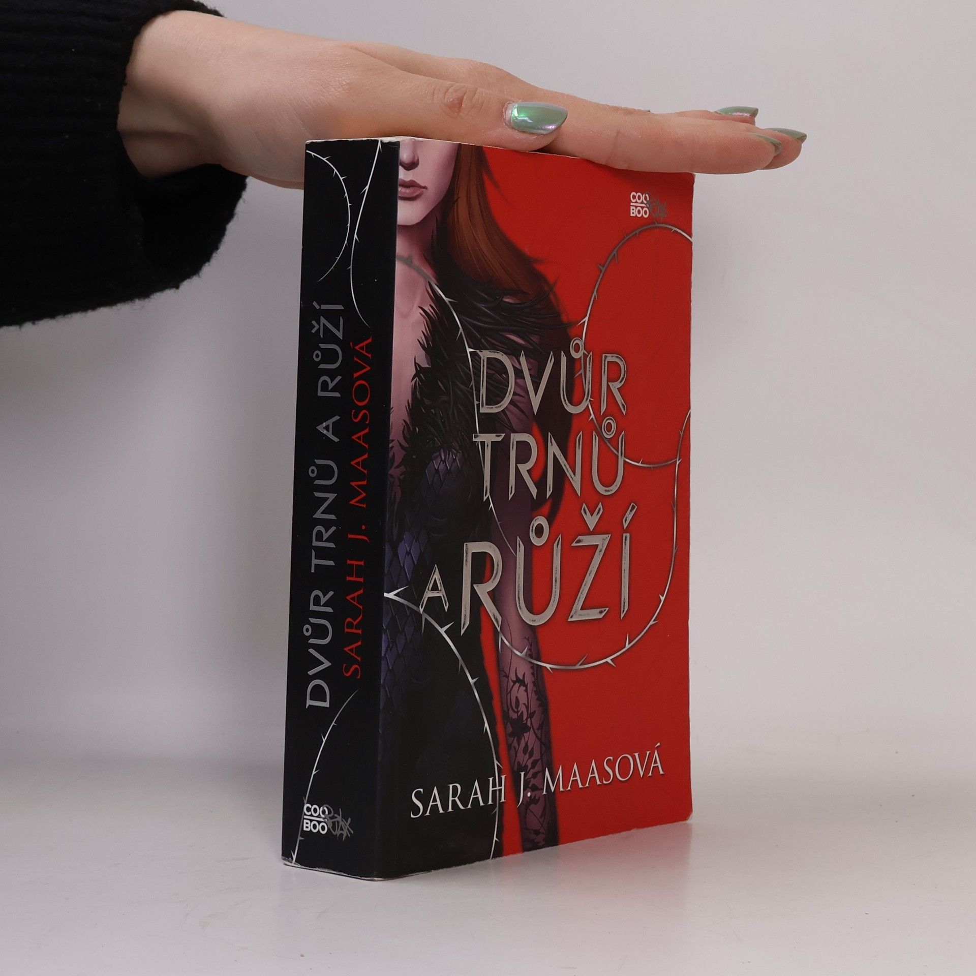 Sarah J. Maas Dvůr trnů a růží