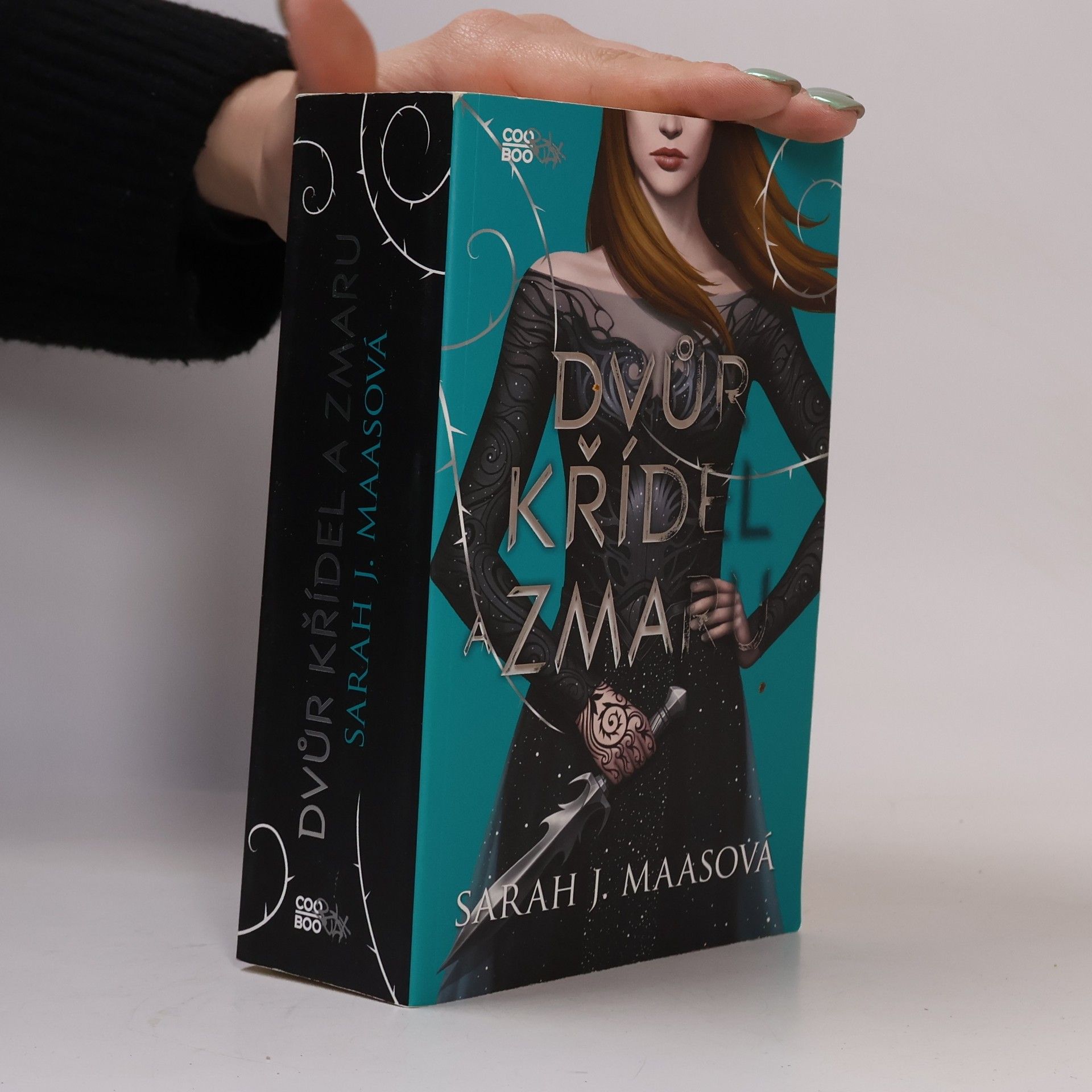 Sarah J. Maas Dvůr křídel a zmaru