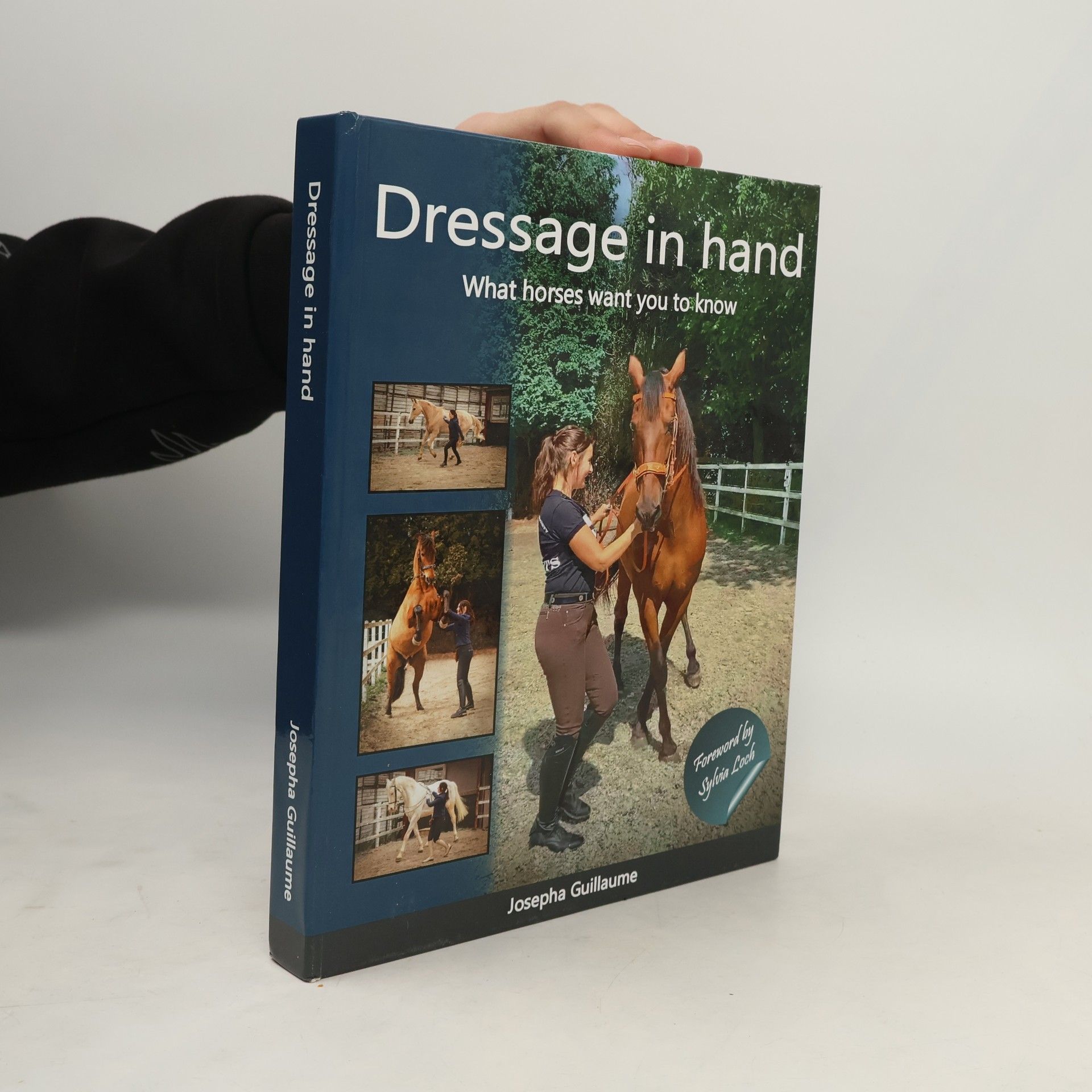 Ralph Scheffer Dressage in Hand