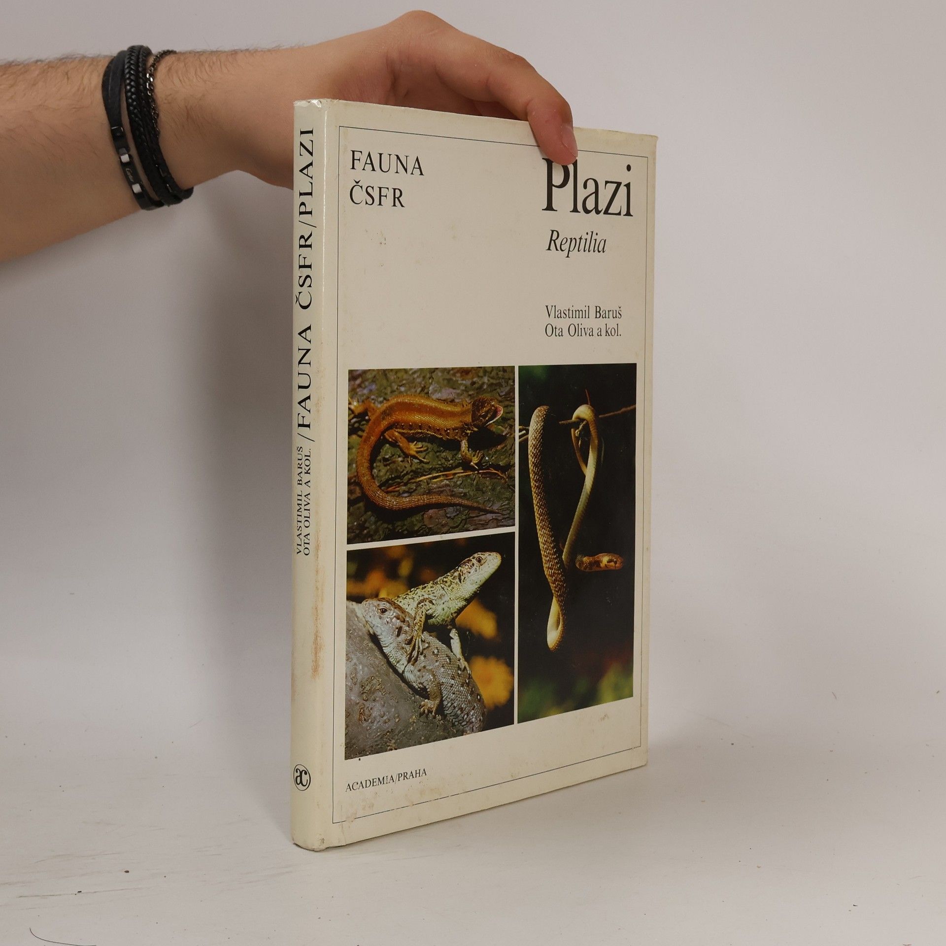 Ivan Rehák Plazi = Reptilia