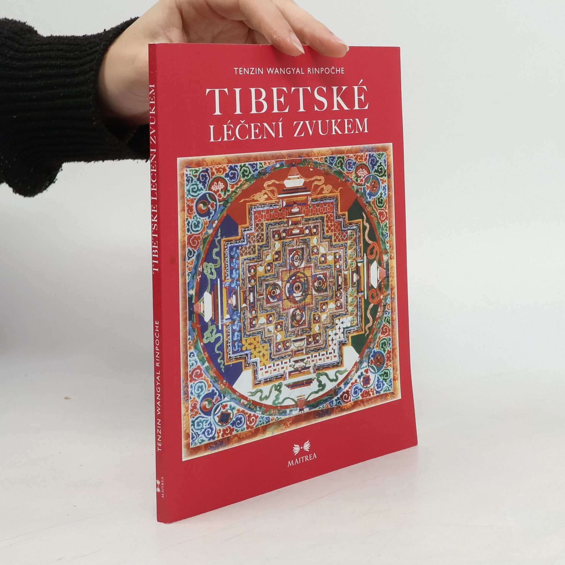 Tenzin Wangyal Rinpoche Tibetské léčení zvukem