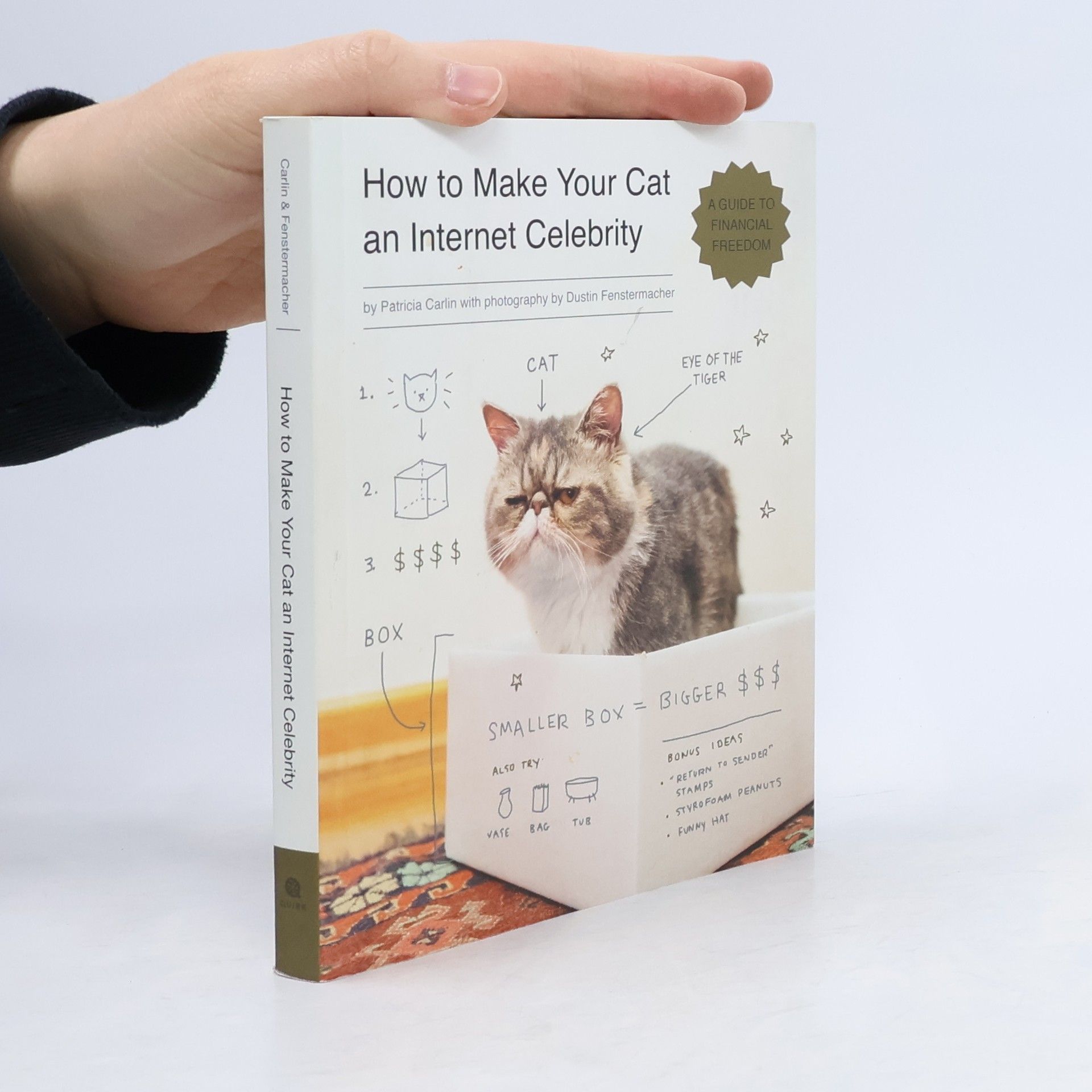 Patricia Carlin How to Make Your Cat an Internet Celebrity