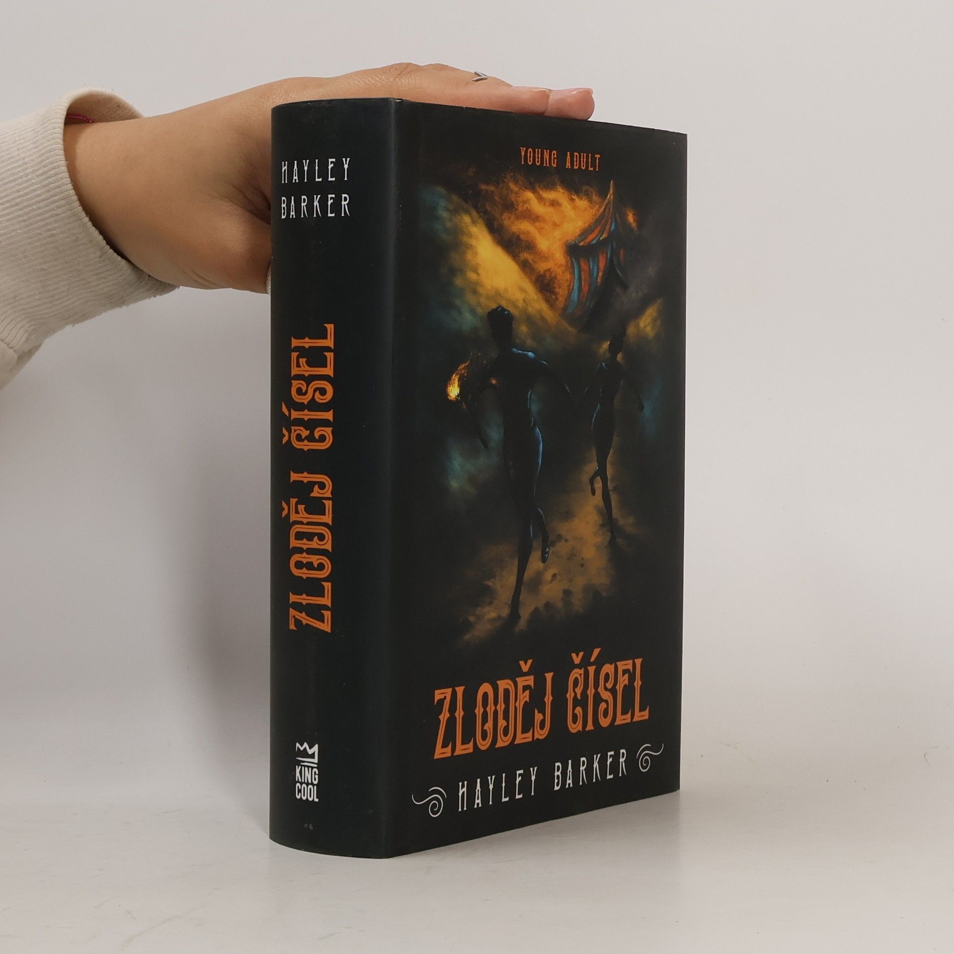 Hayley Barker Zloděj čísel