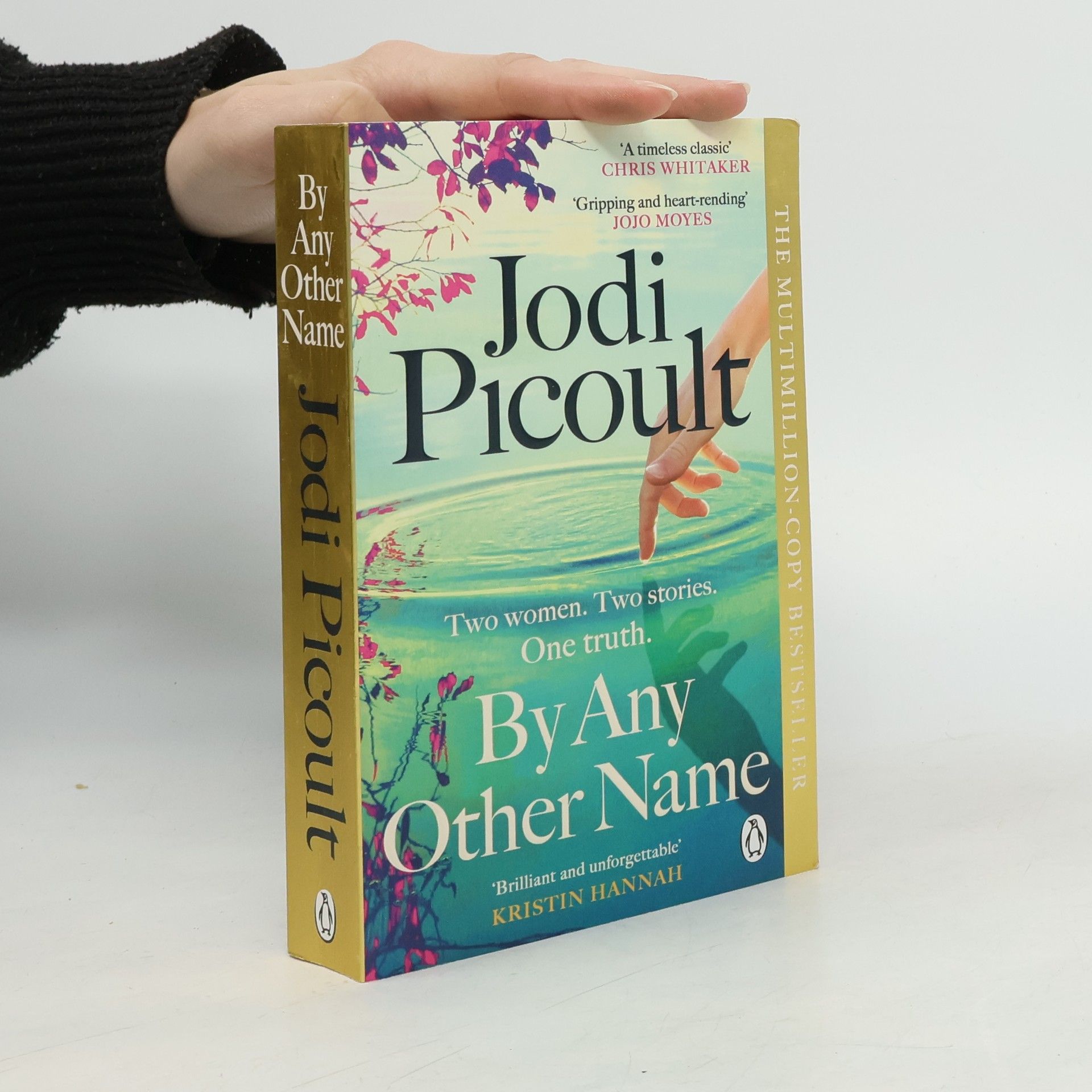 Jodi Picoult By Any Other Name