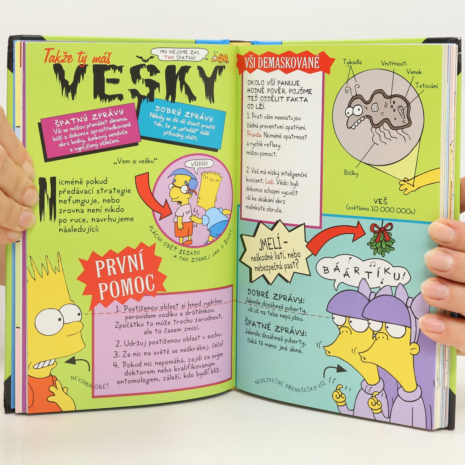 Matt Groening Bart Simpson: Průvodce životem